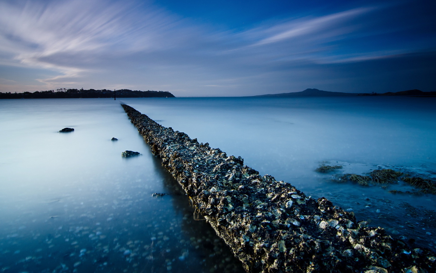 Oyster bed Image Abyss