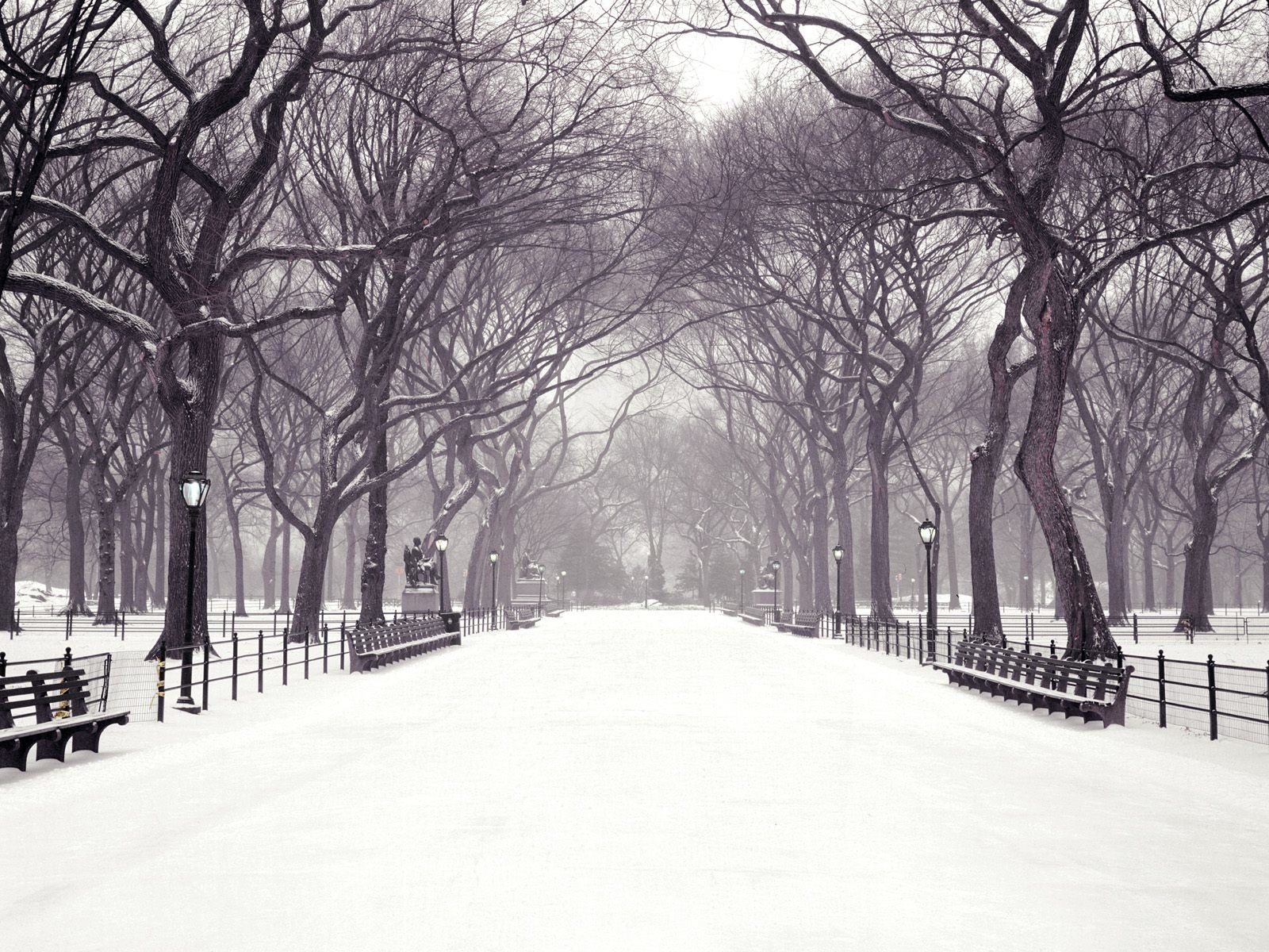 Download Photography Winter Image