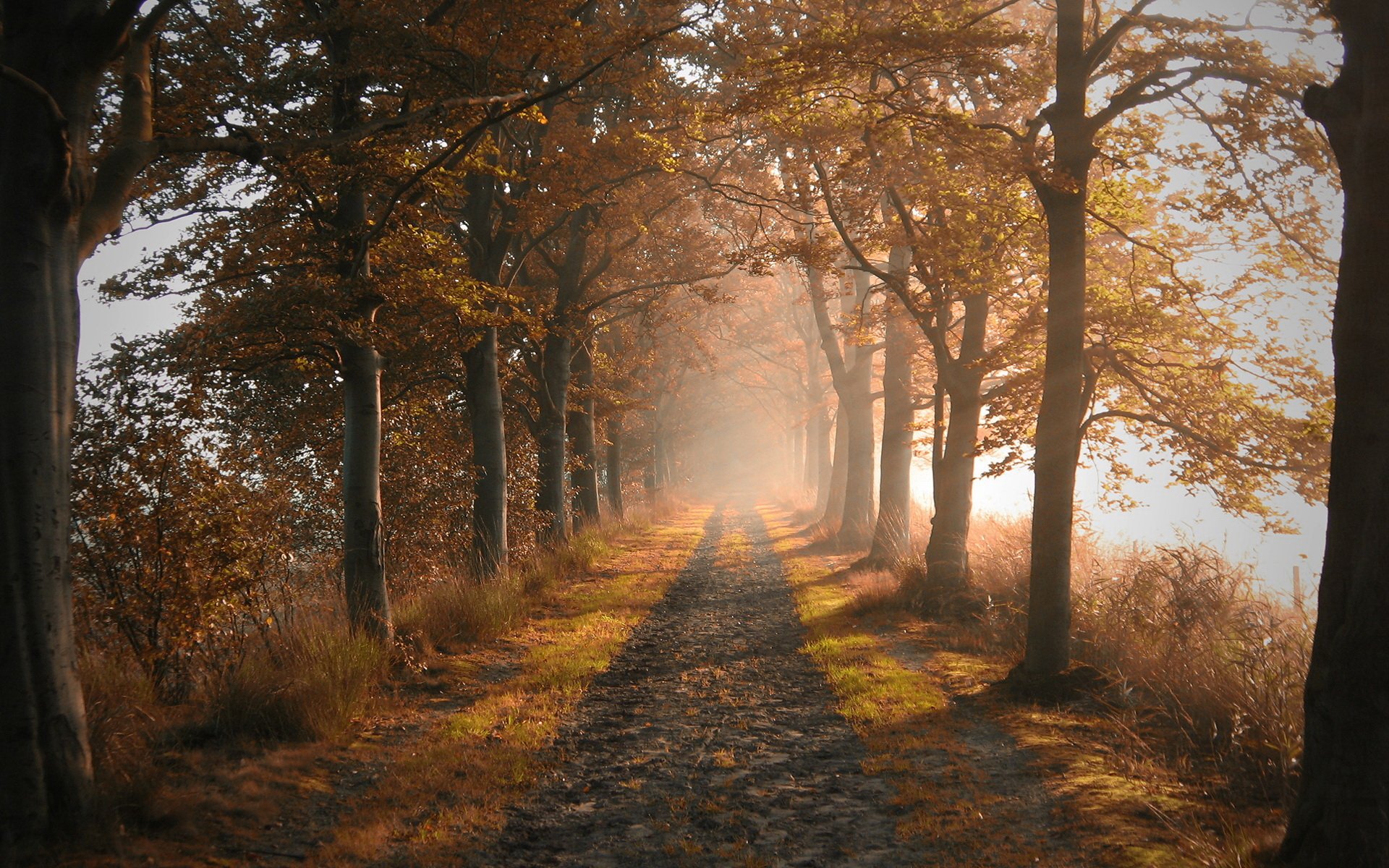 Download Man Made Path Image