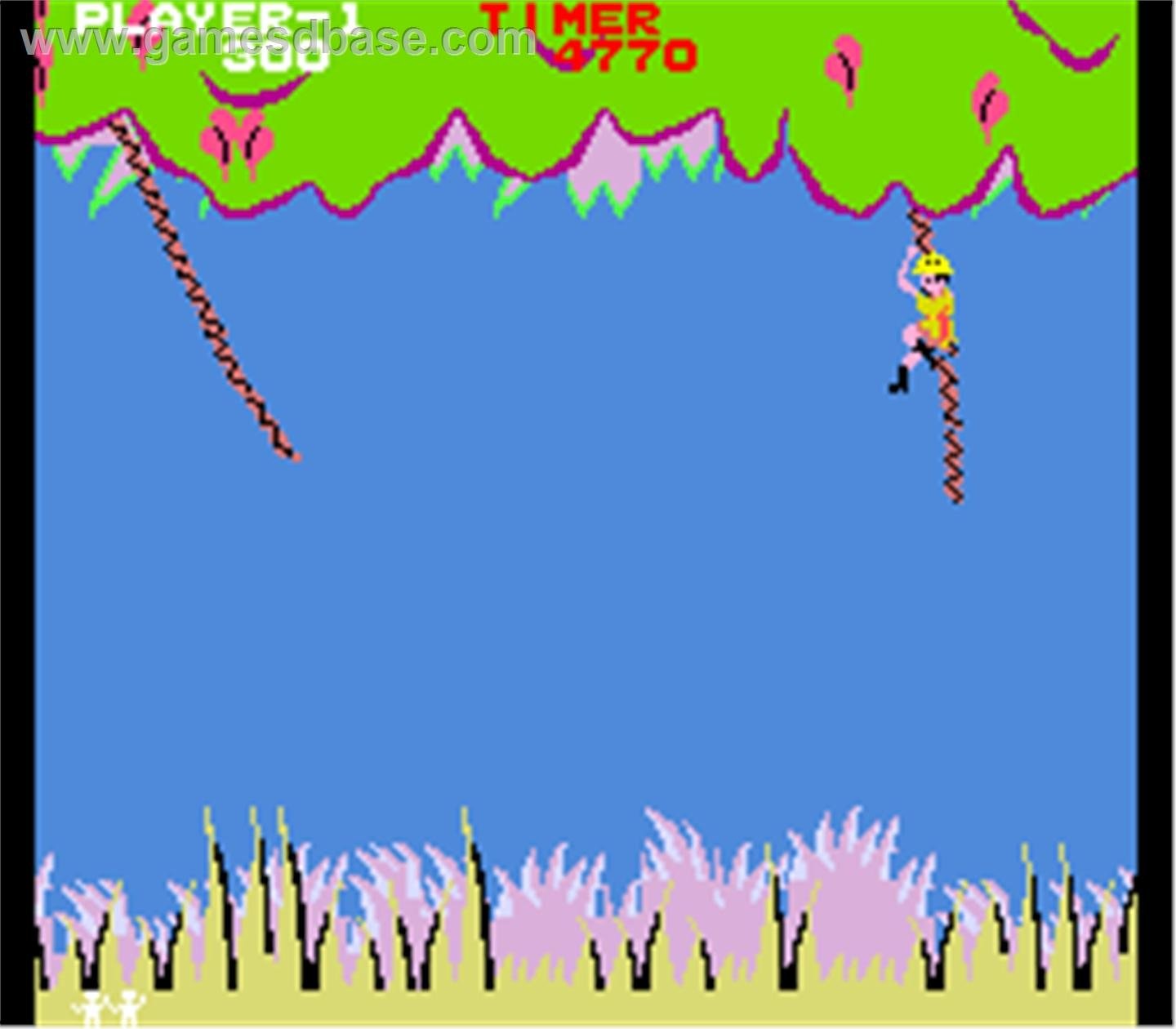 video game Jungle Hunt Image
