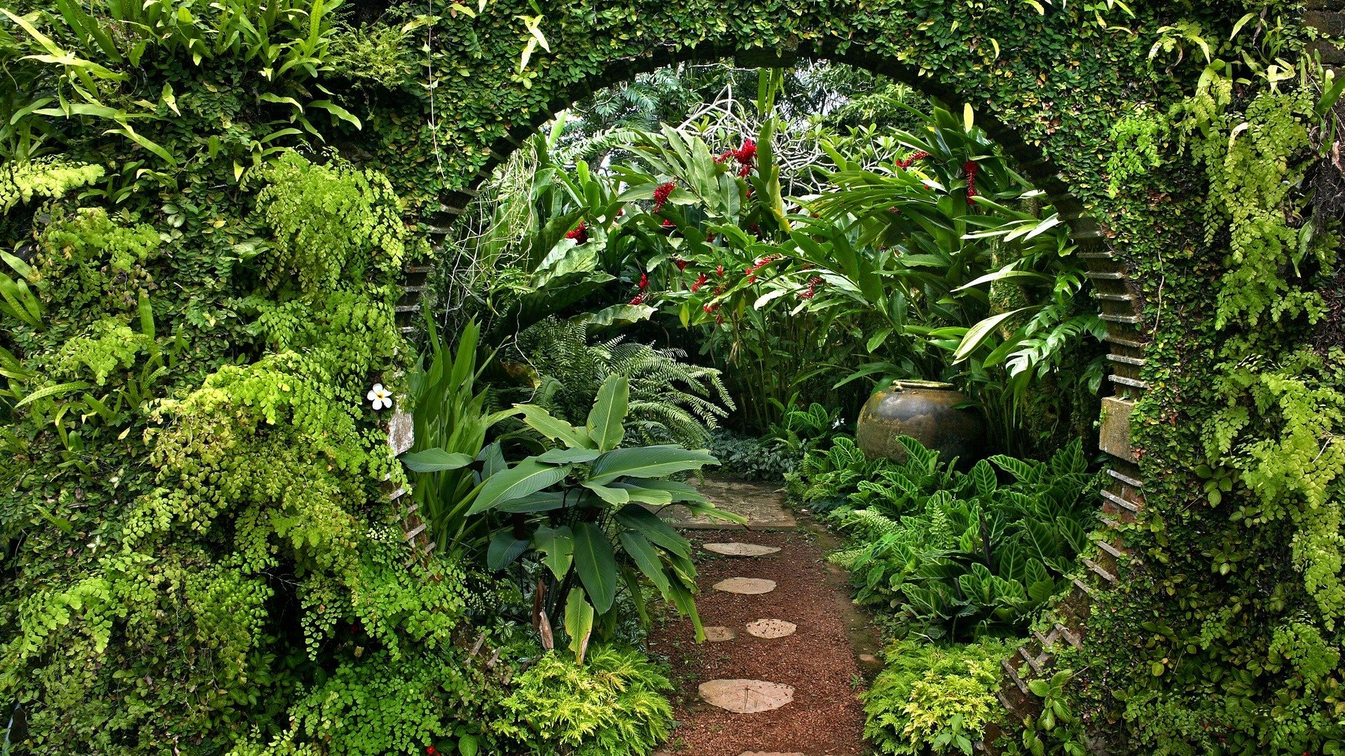 Garden Image - ID: 280862 - Image Abyss