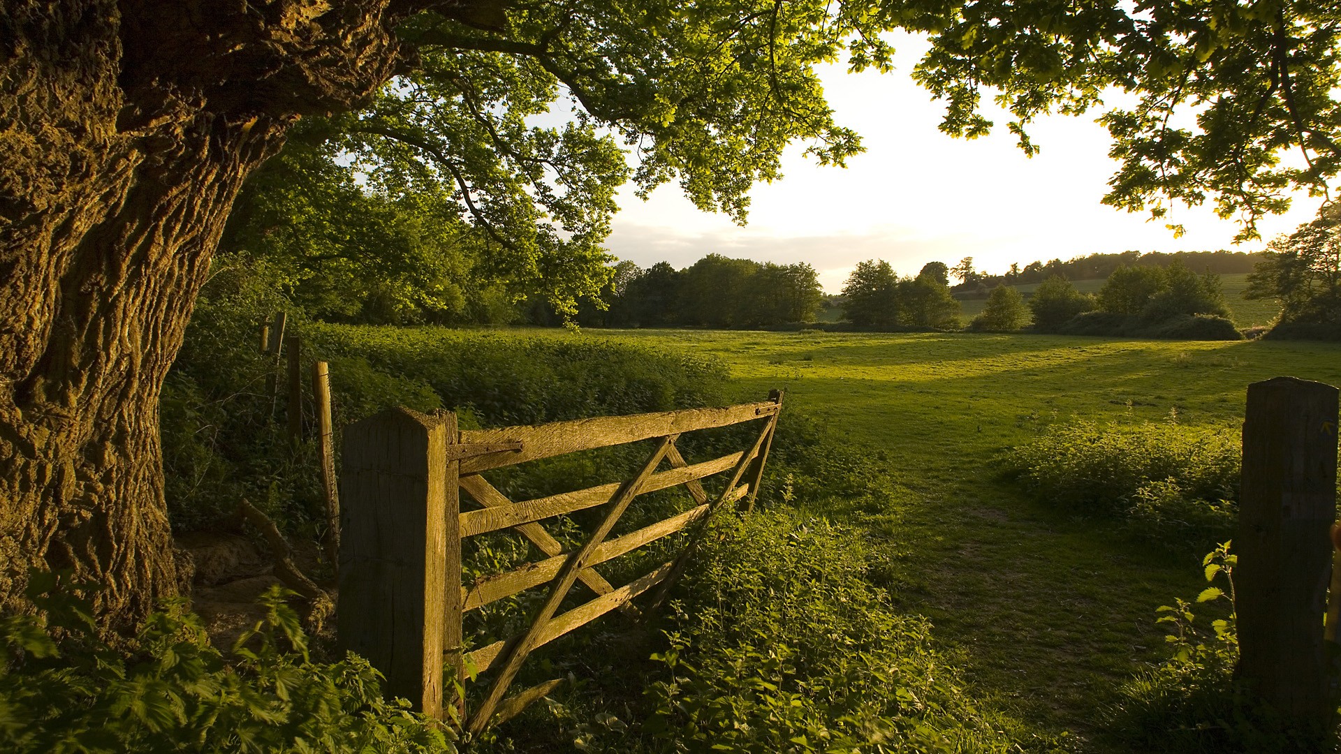 Gate To Summer - Image Abyss