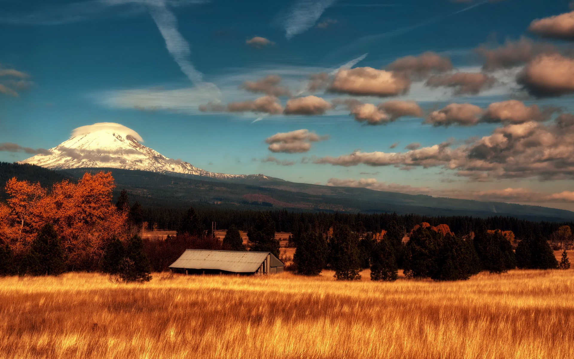 late-summer-scenery-image-abyss