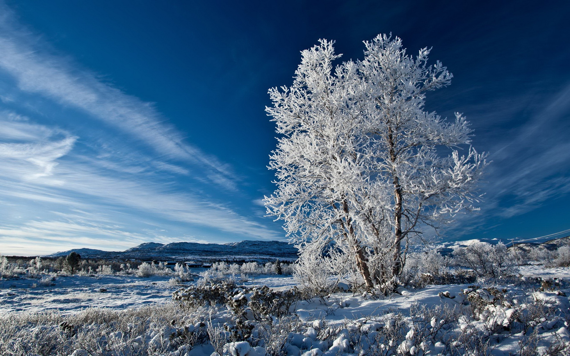 beautiful blue winter sky - Image Abyss