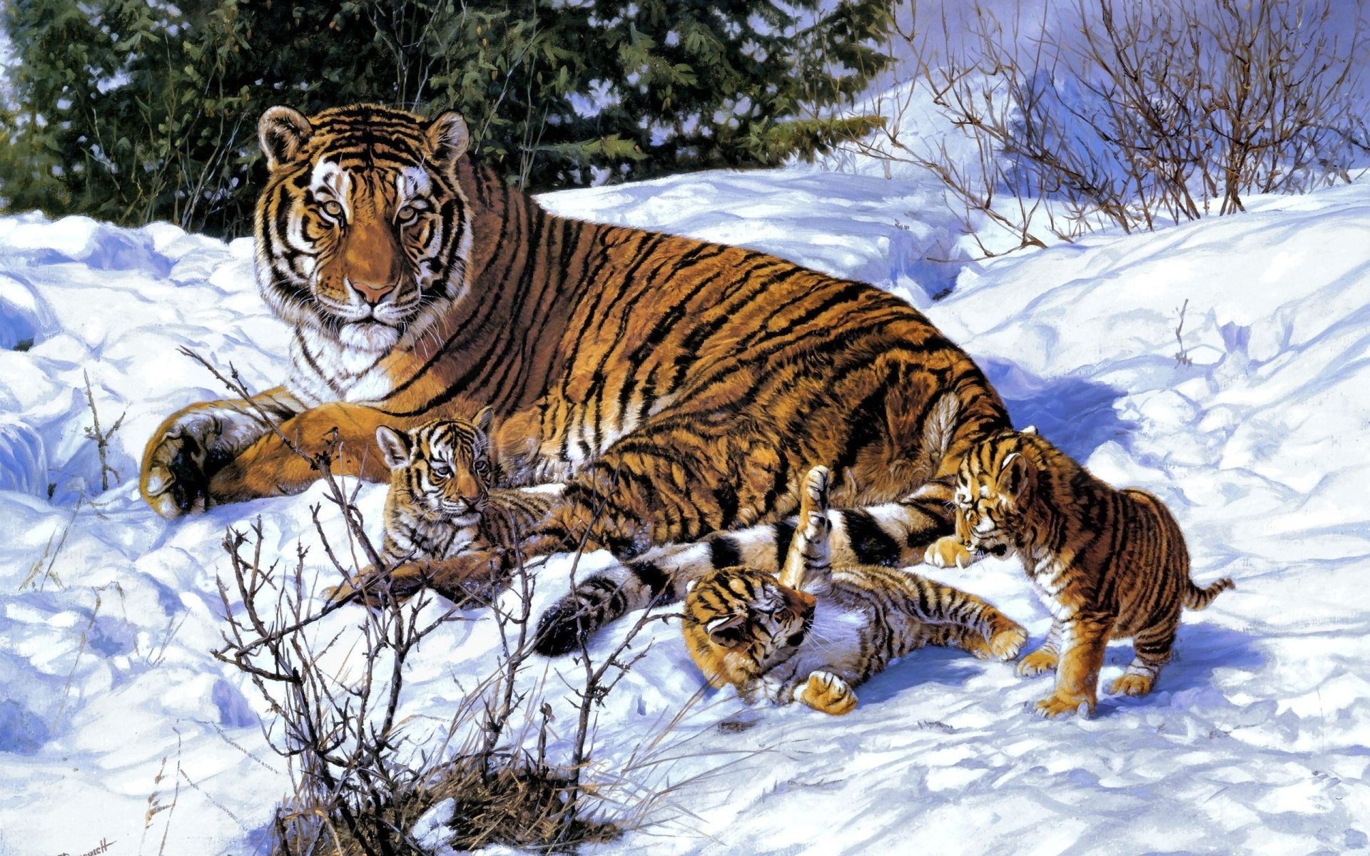 A tiger lies in the snow with three playful tiger cubs surrounded by snowy landscape and trees.