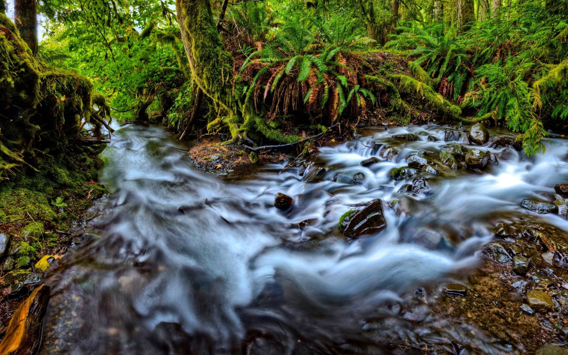 Download Nature Stream Image