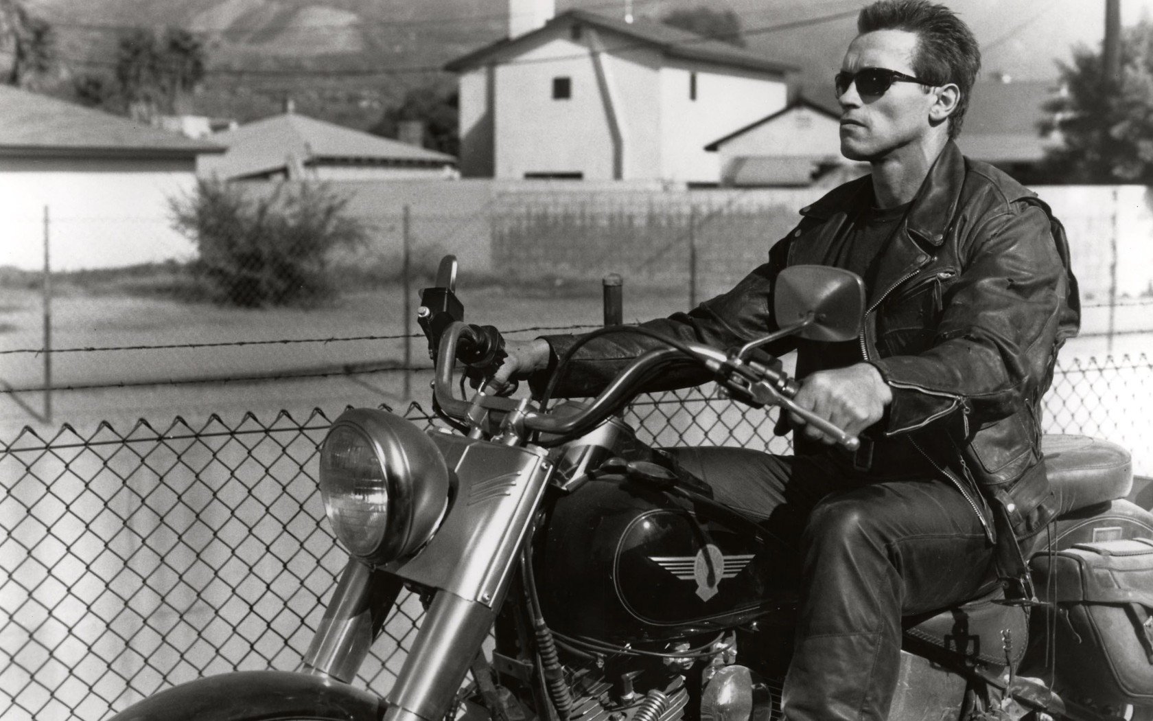 movie The Terminator Image