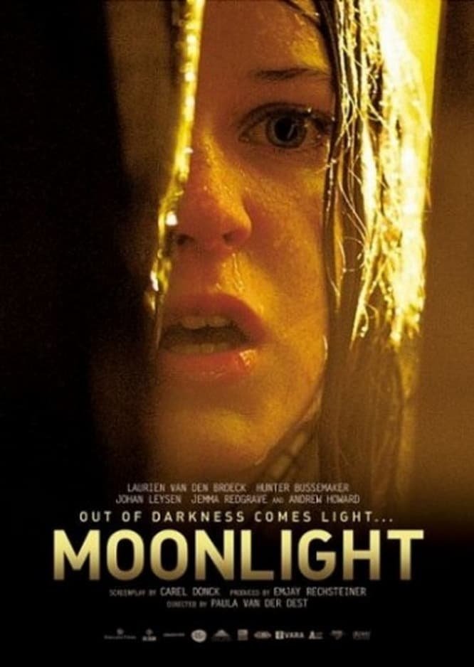 Moonlight Movie Poster - ID: 281181 - Image Abyss