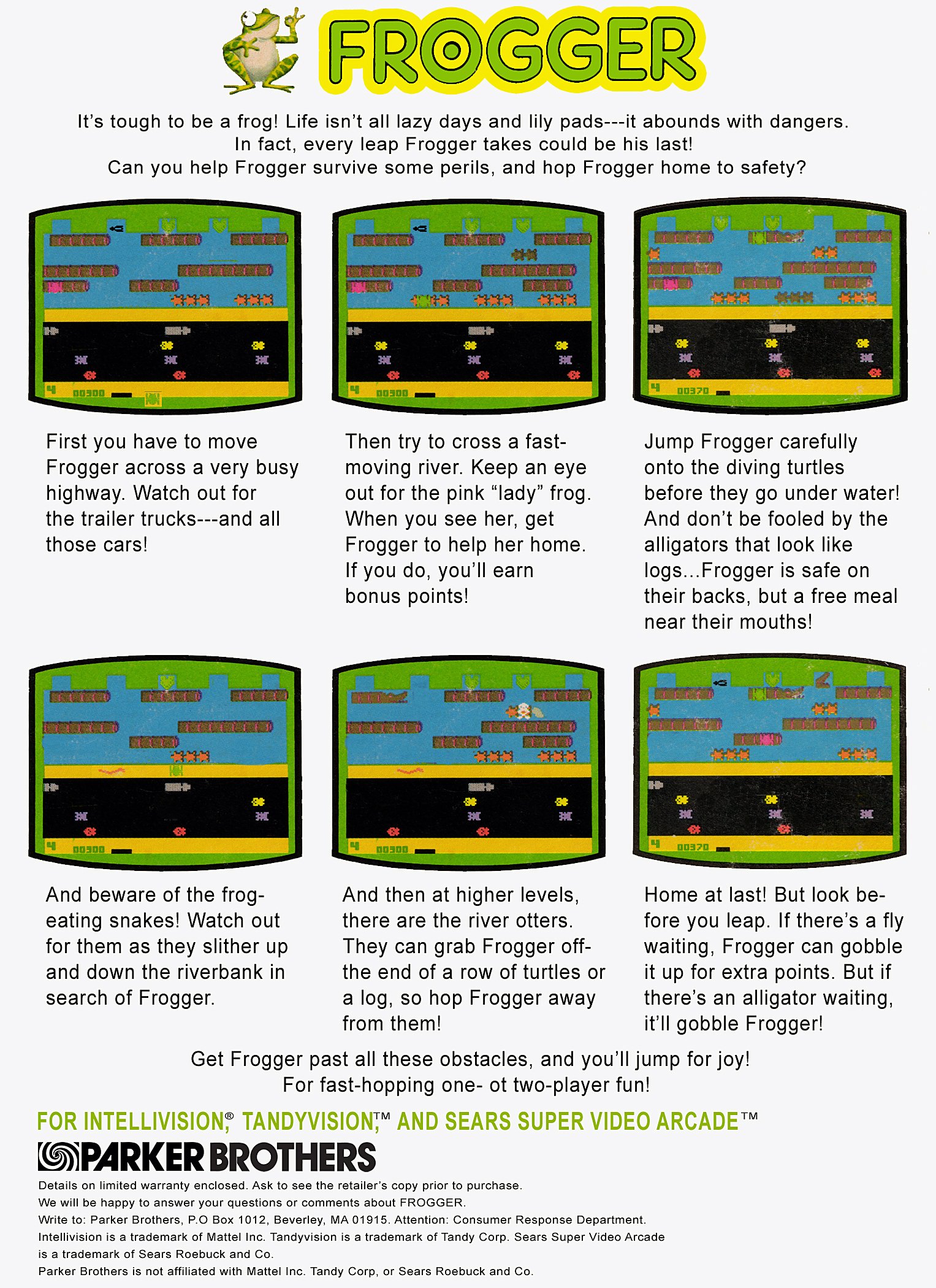 video game Frogger Image