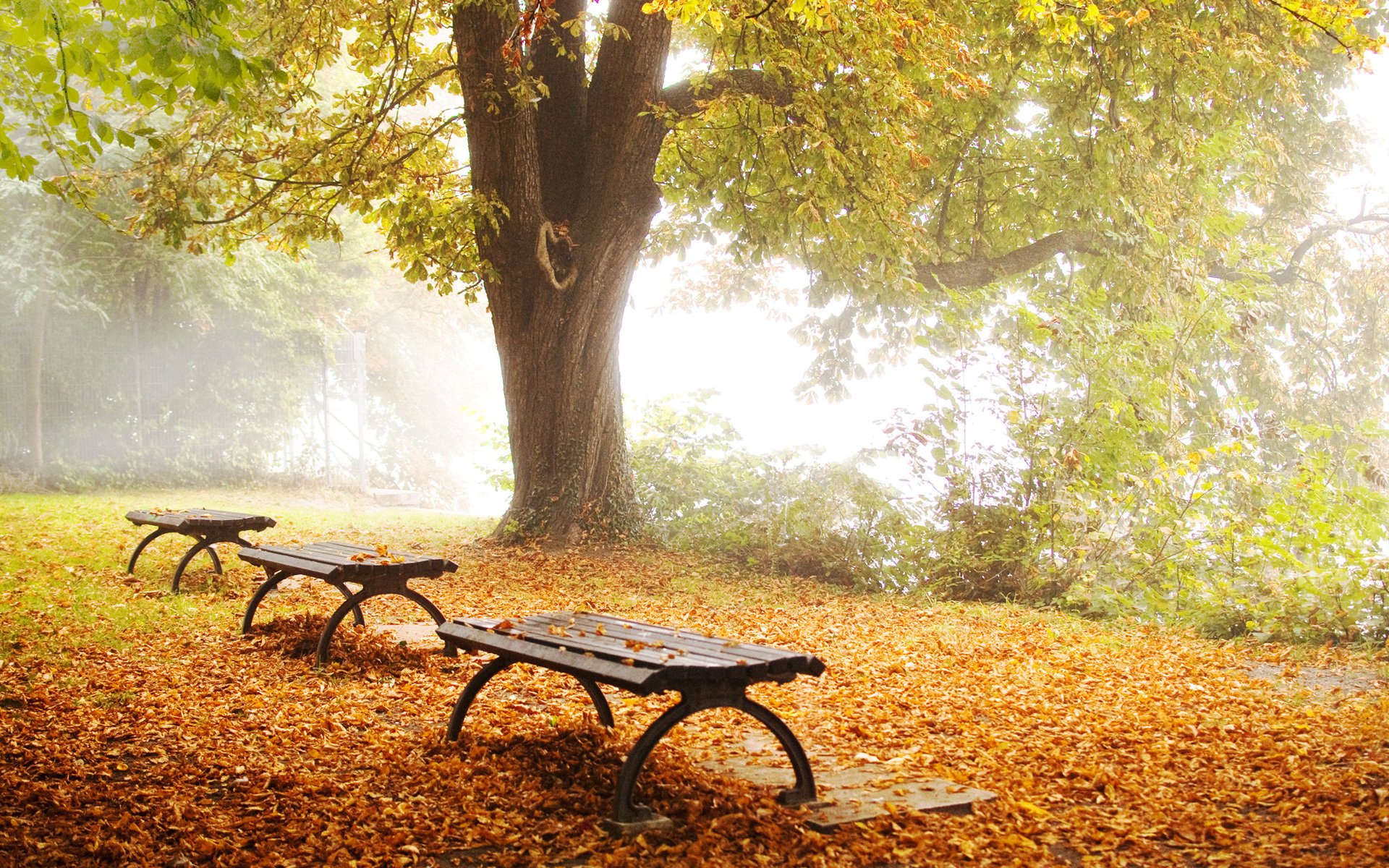 man made bench Image