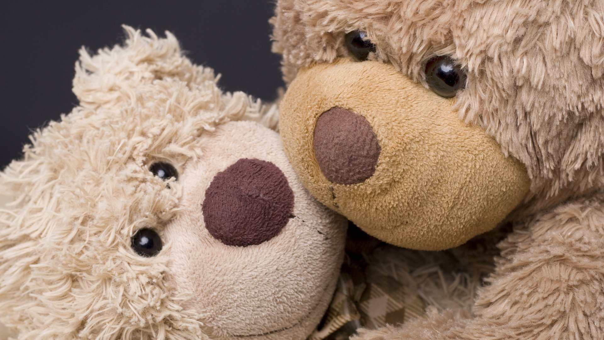 man made stuffed animal Image