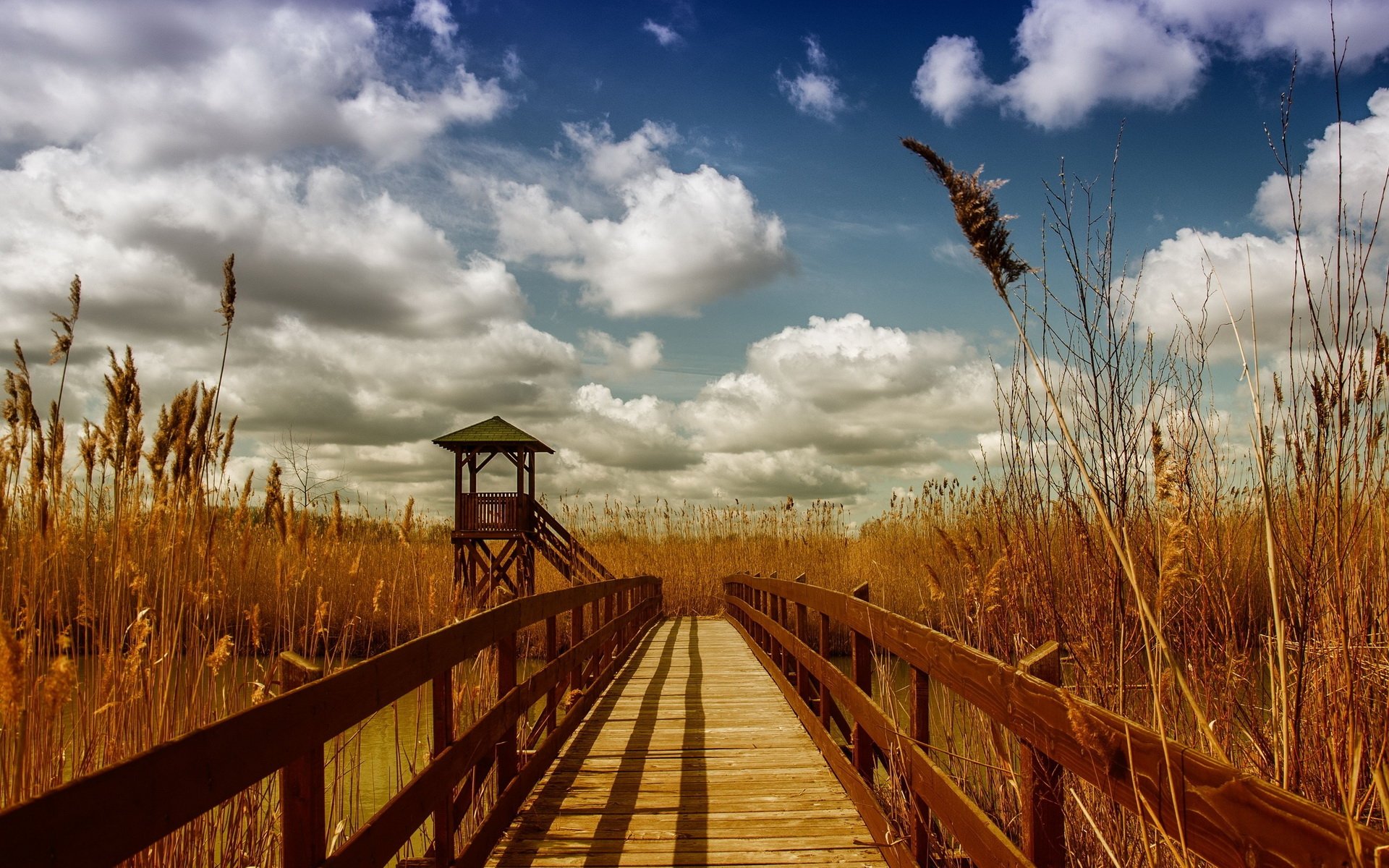 man made boardwalk Image