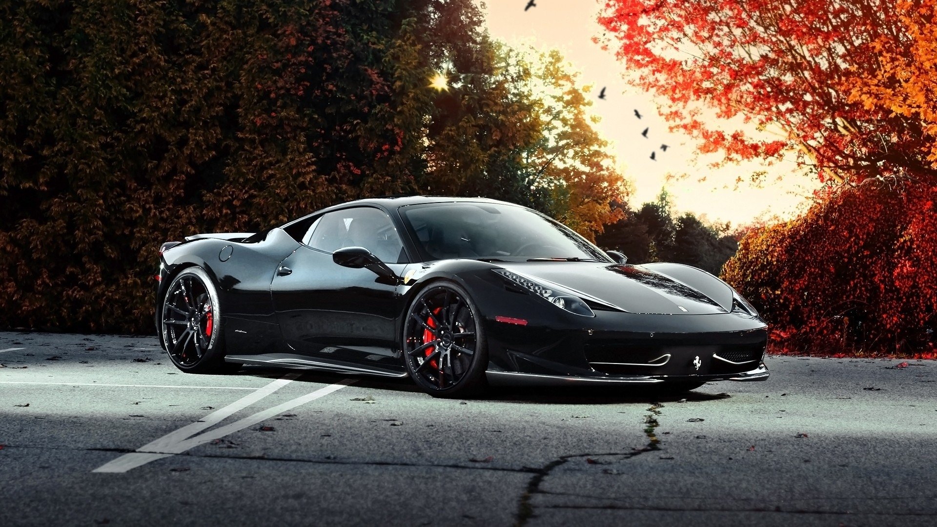 Download Vehicle Ferrari Image