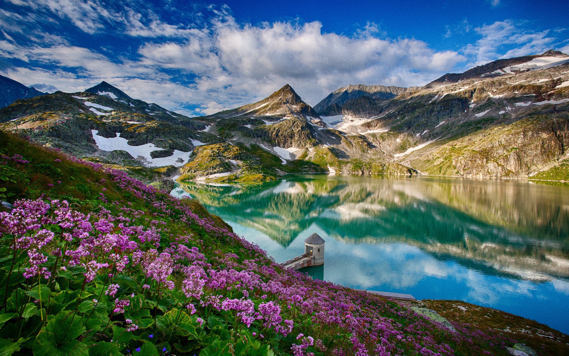 Alpine nature scene: turquoise mountain lake reflecting snowy peaks beneath a blue sky, pink wildflowers carpeting the foreground and a small boathouse on the shore.