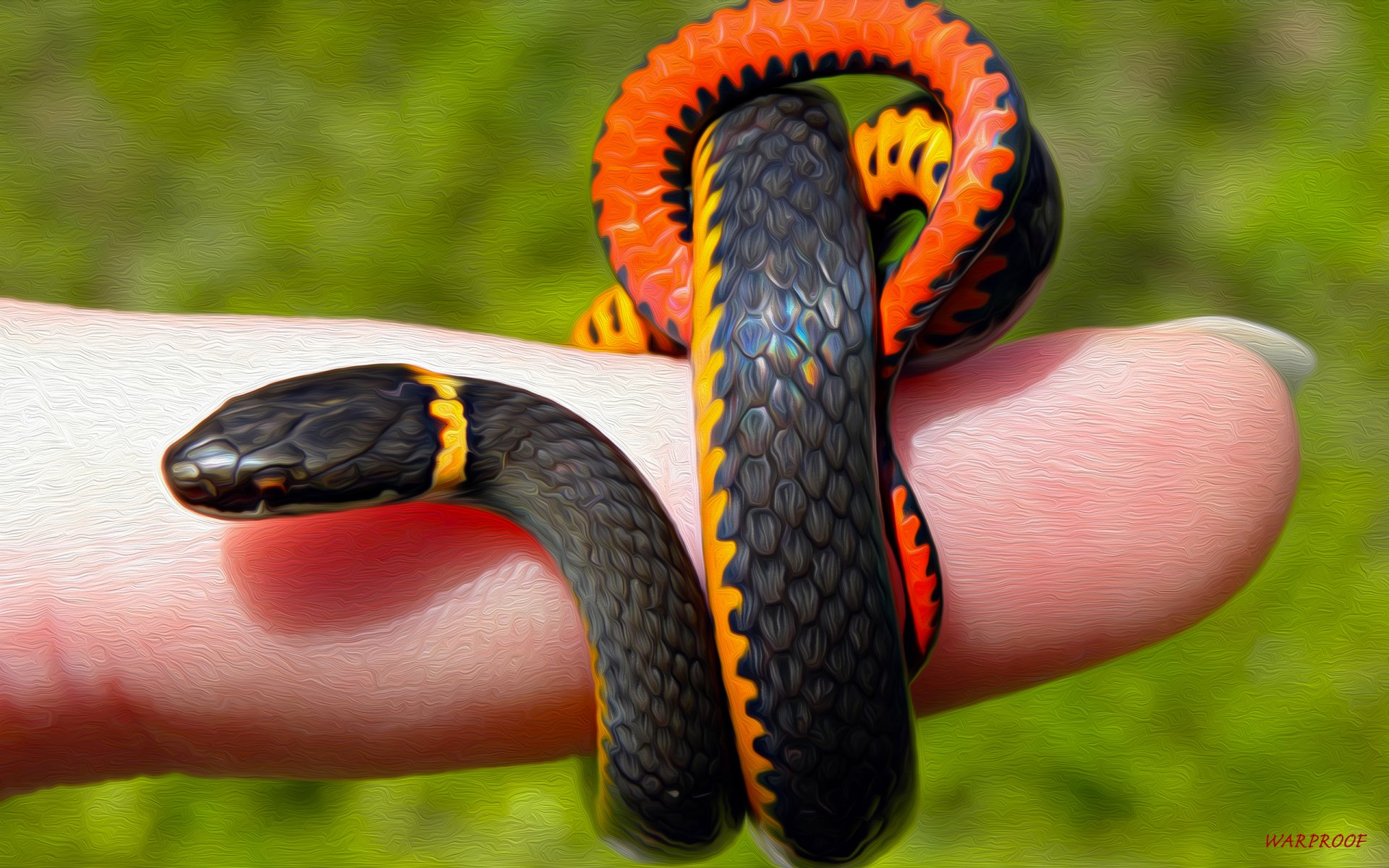 GARDEN SNAKE by WARPROOF