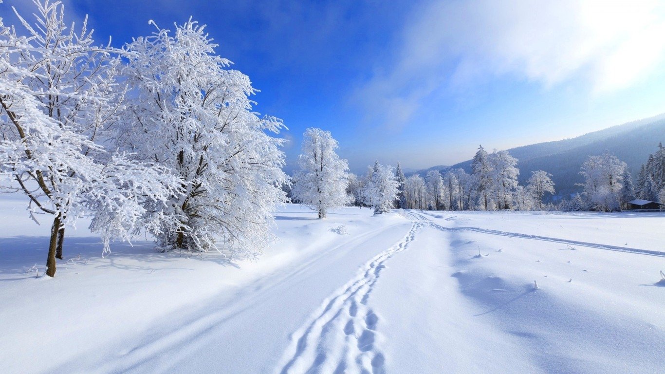 Download Nature Winter Image