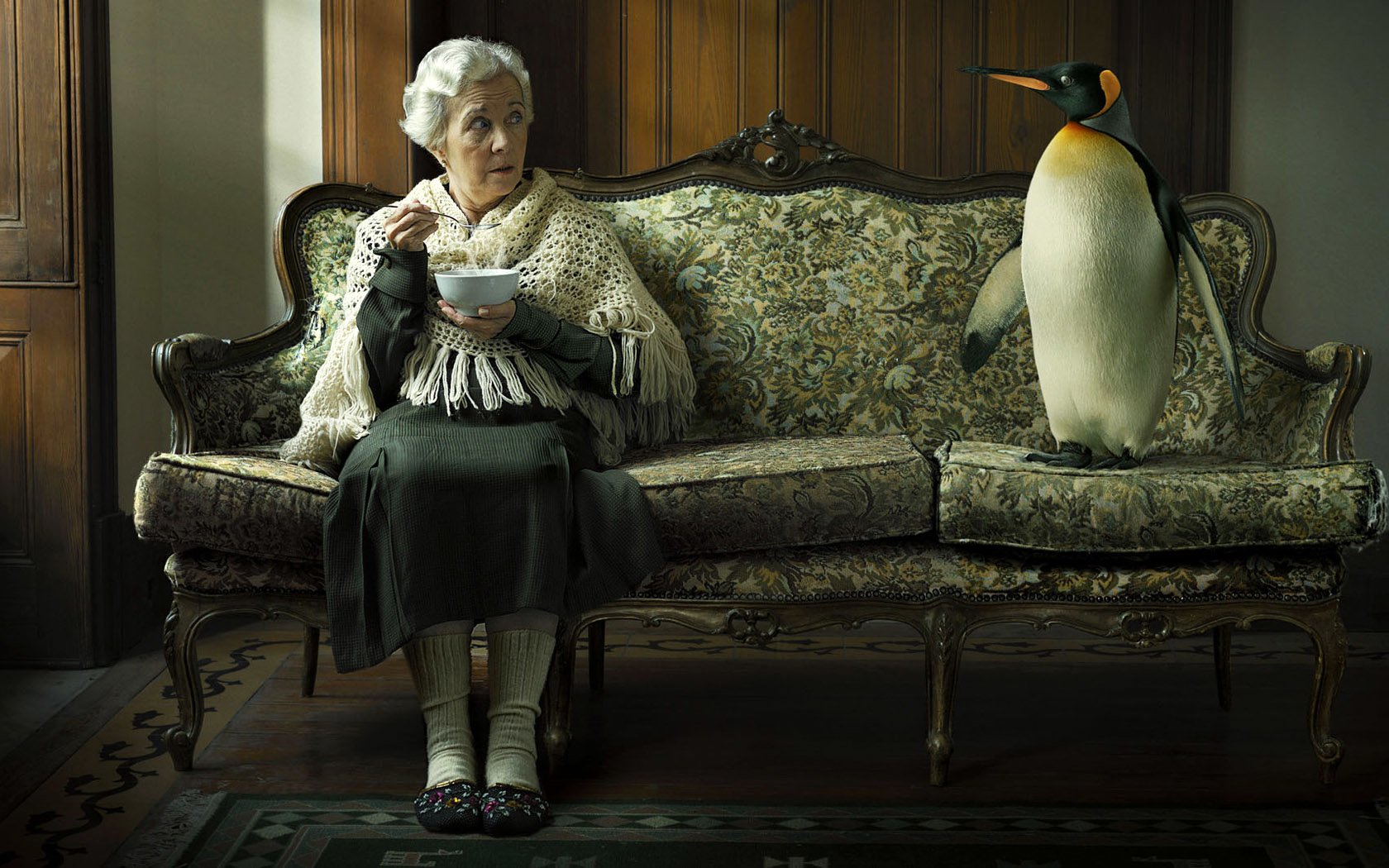 Download Animal Penguin Image