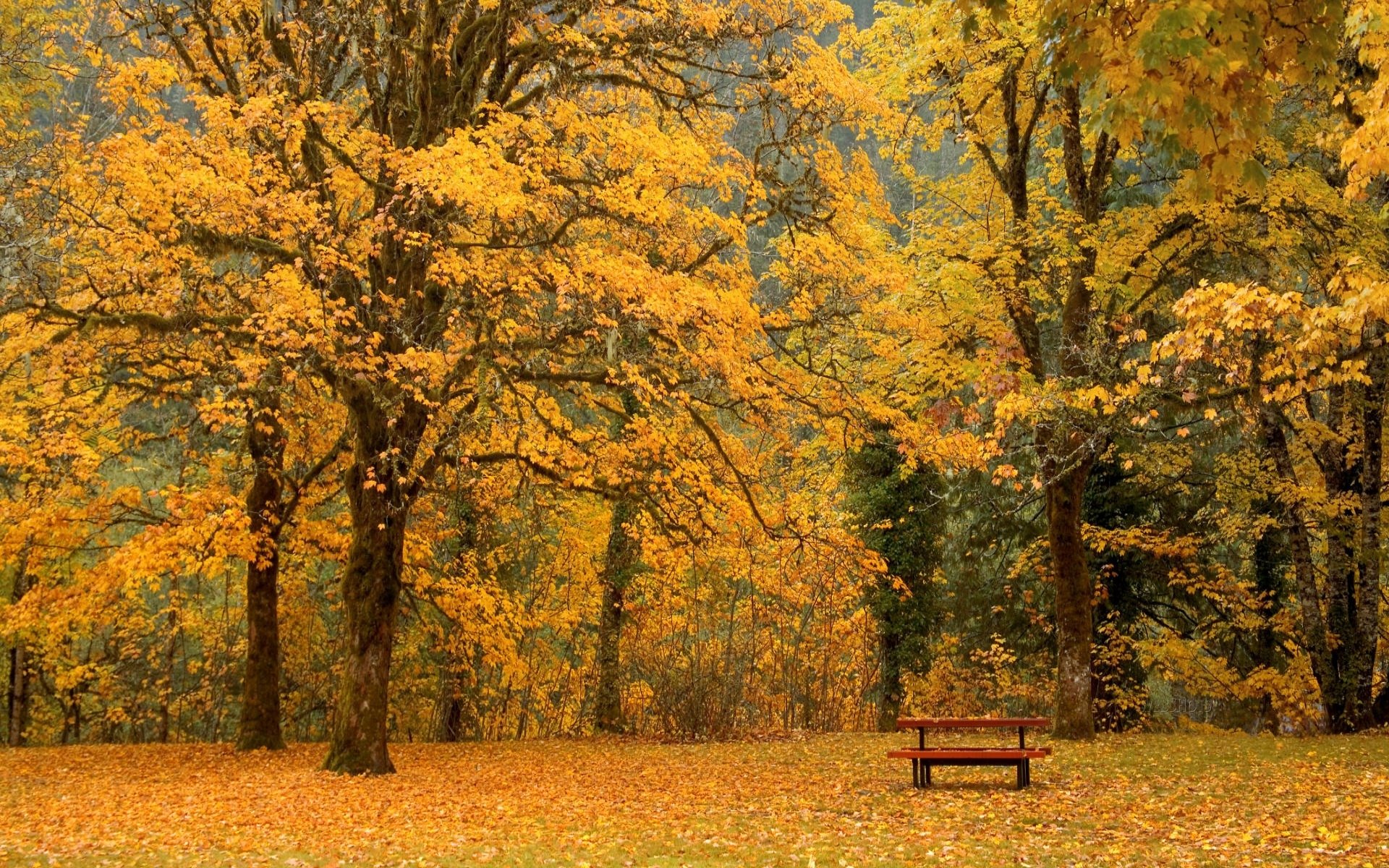 man made bench Image