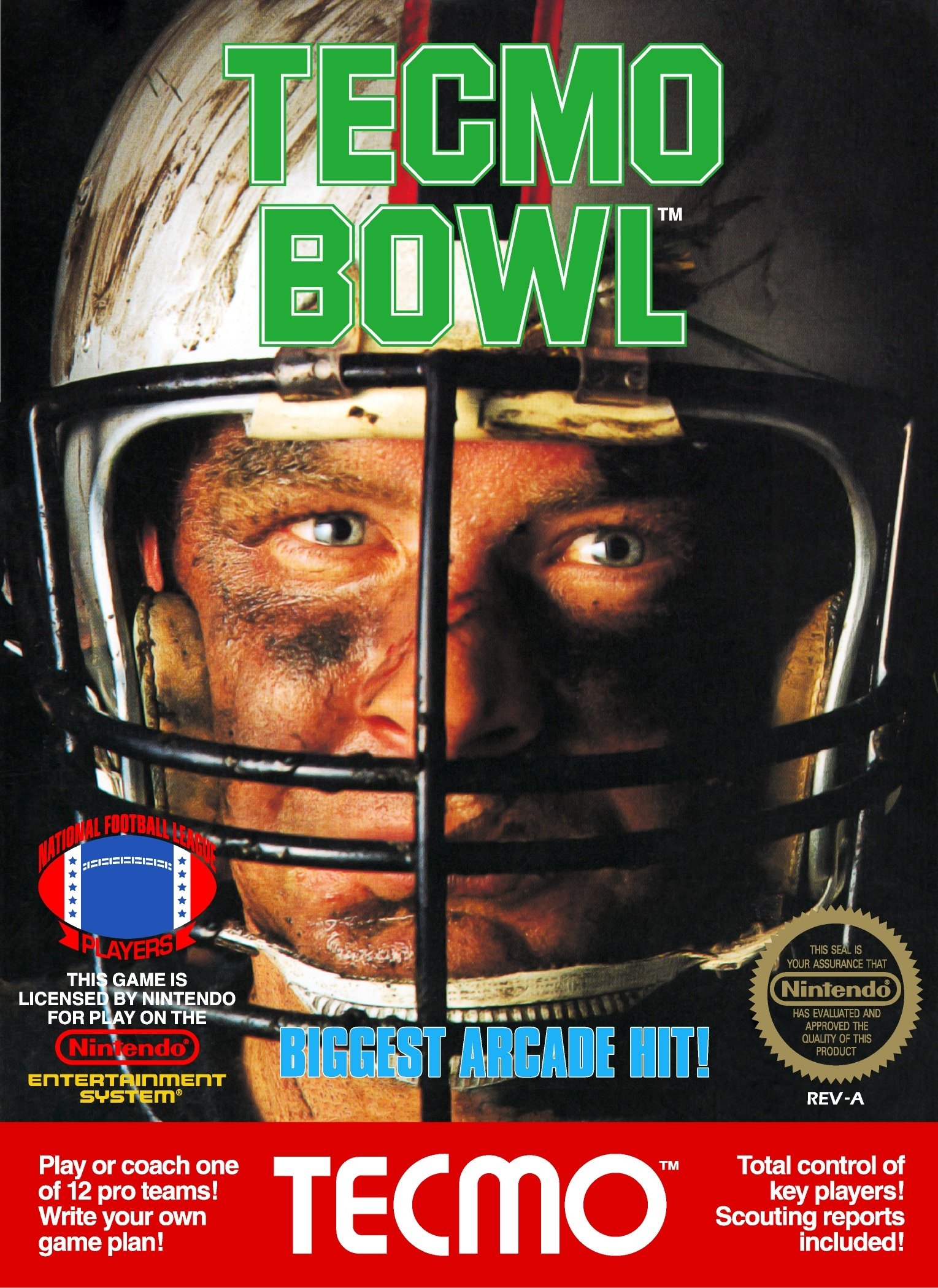video game Tecmo Bowl Image