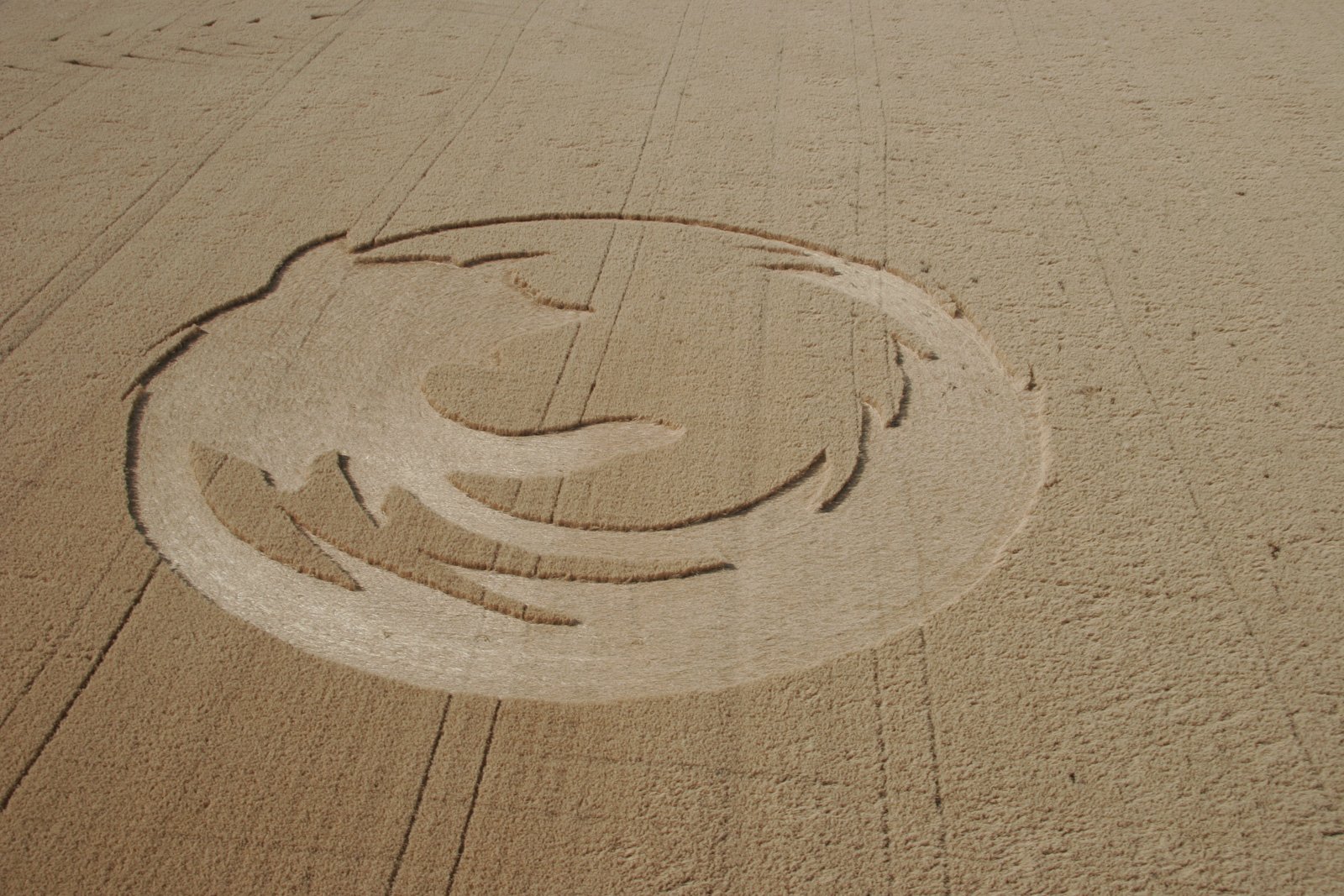 A field featuring the Firefox logo intricately etched into the ground, showcasing the intersection of nature and technology.