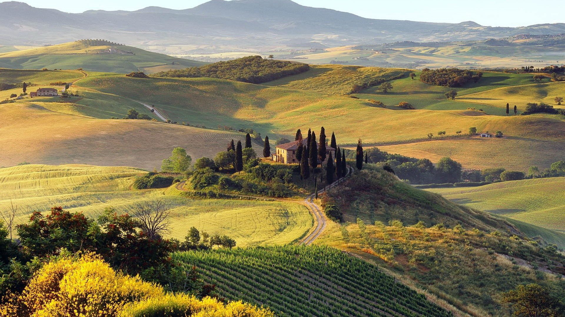 photography Tuscany Image