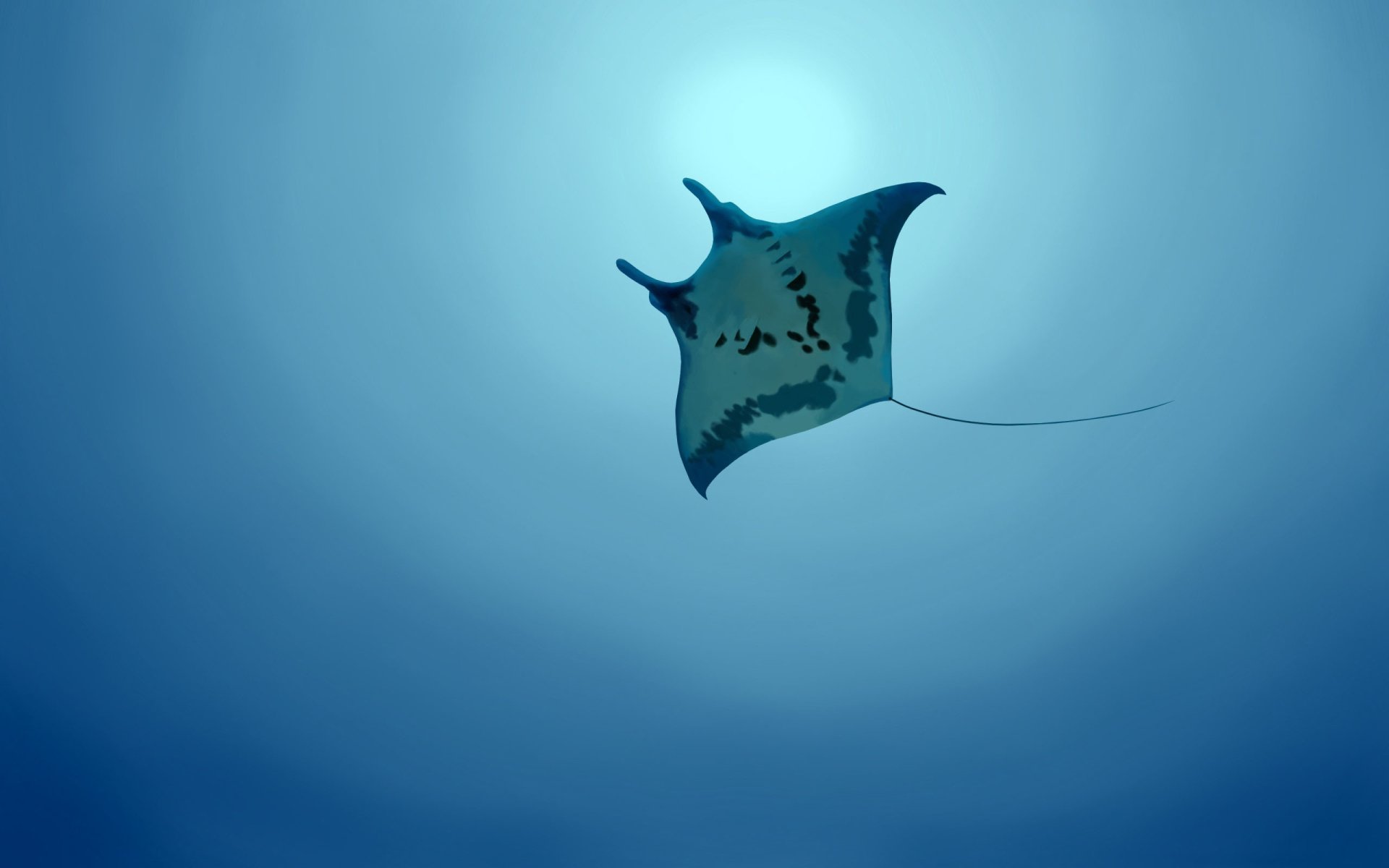 manta ray vs sting ray