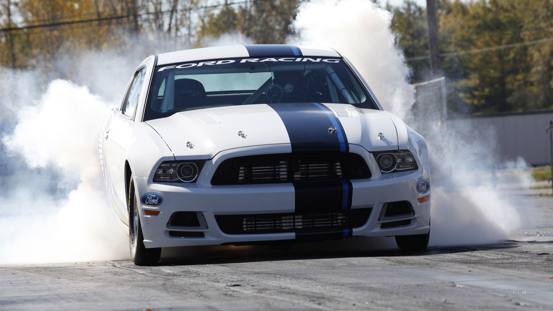 vehicle ford mustang cobra jet twin-turbo Image