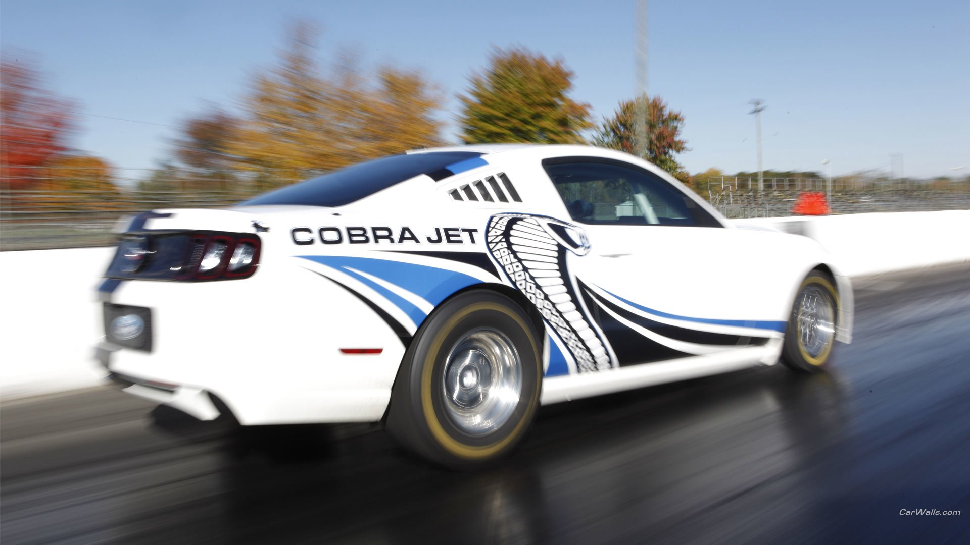 vehicle ford mustang cobra jet twin-turbo Image