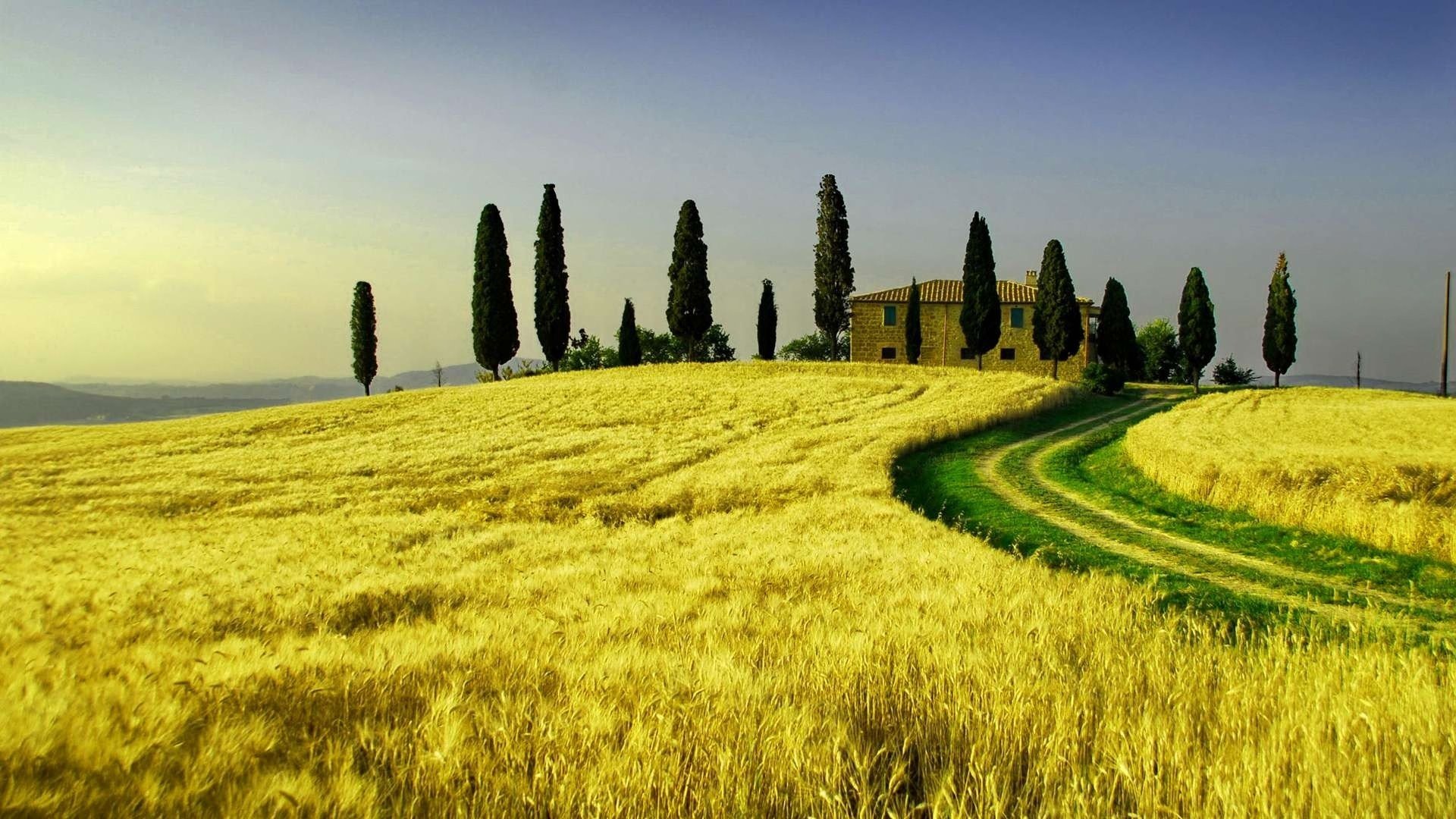 photography Tuscany Image