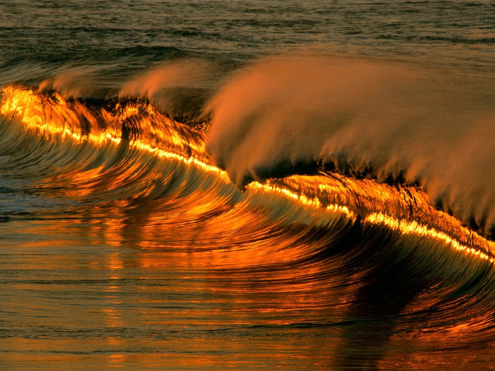 Download Nature Wave Image