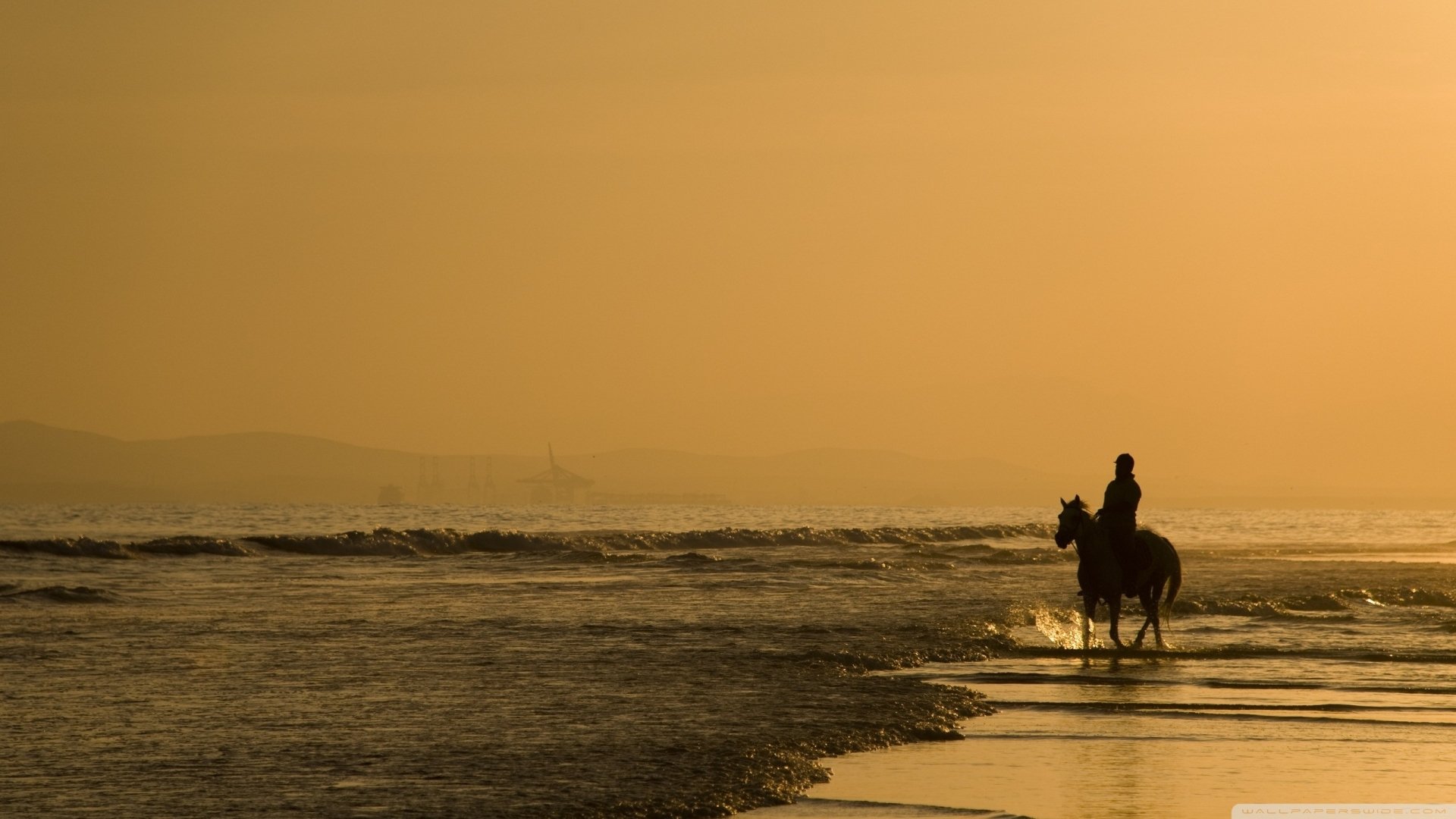 photography horse riding Image