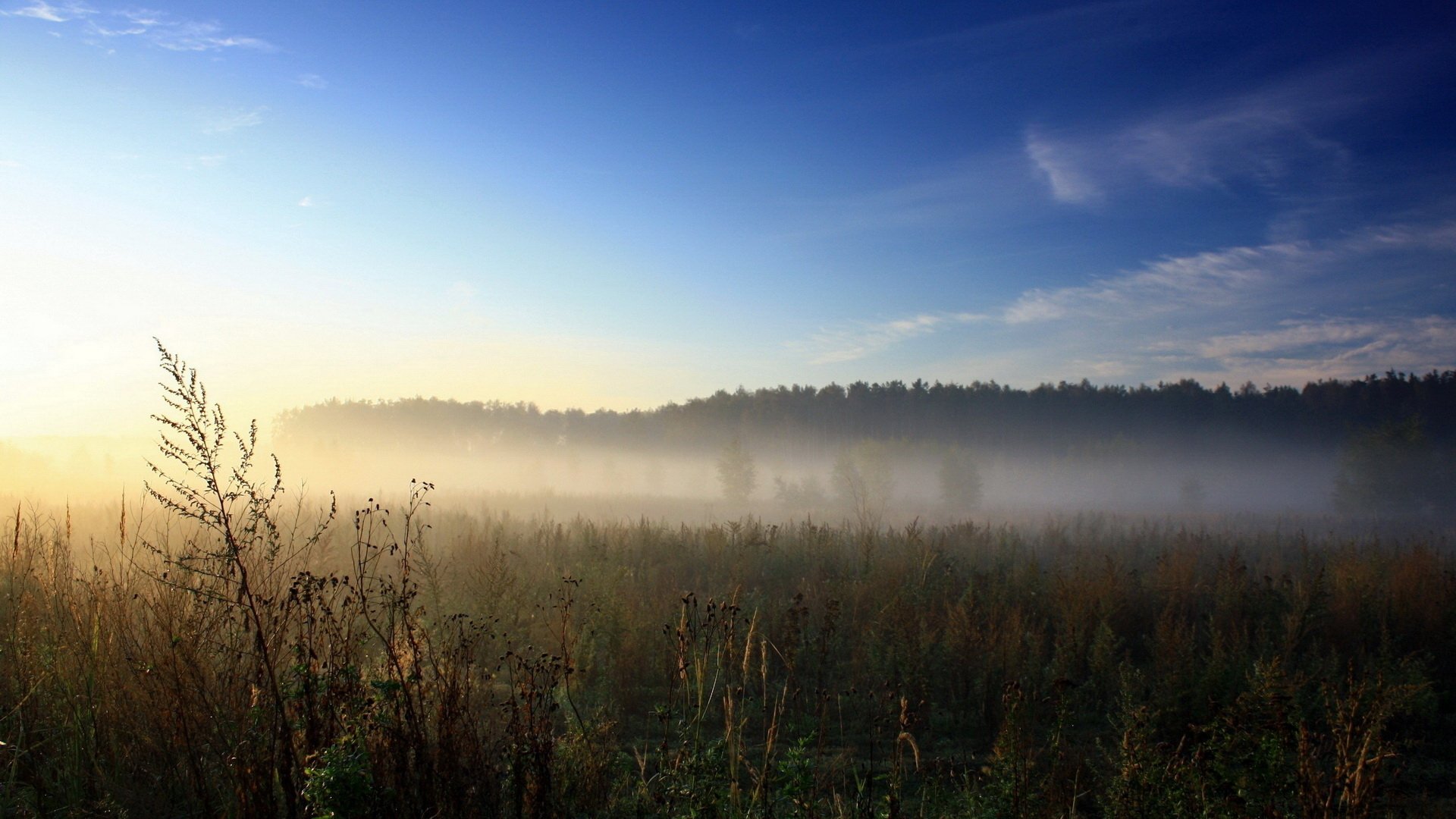 nature fog Image