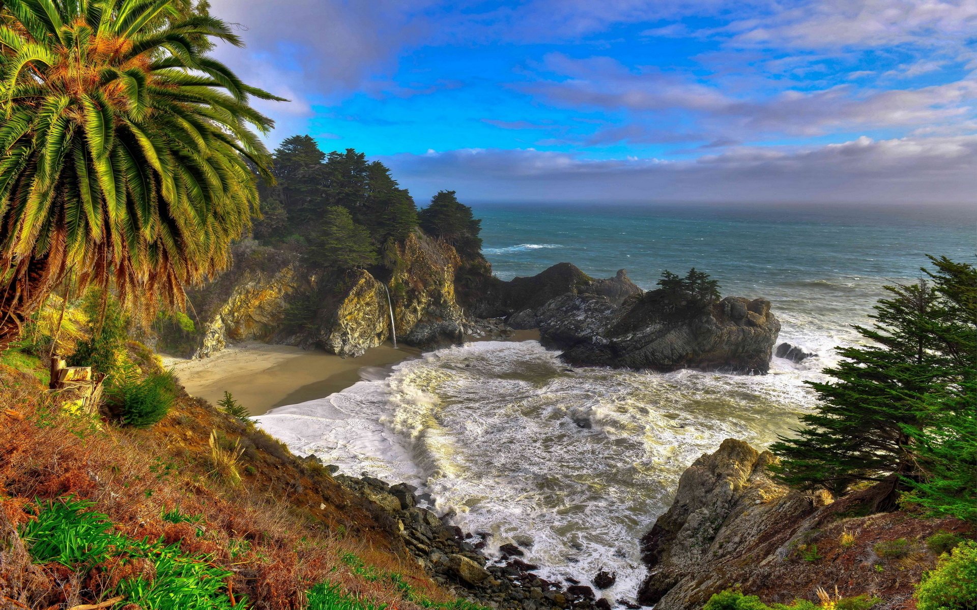 nature big sur Image