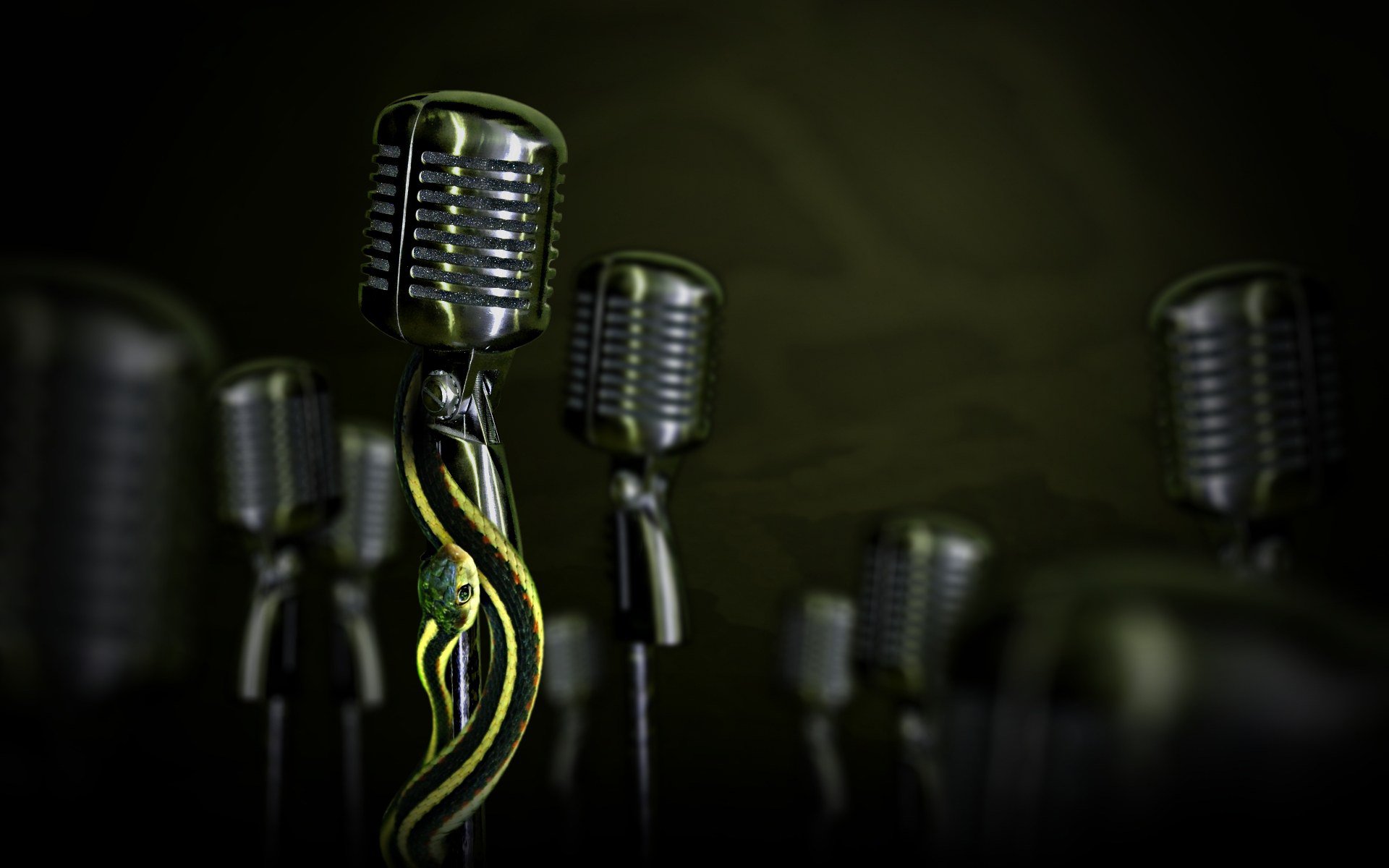 music microphone Image