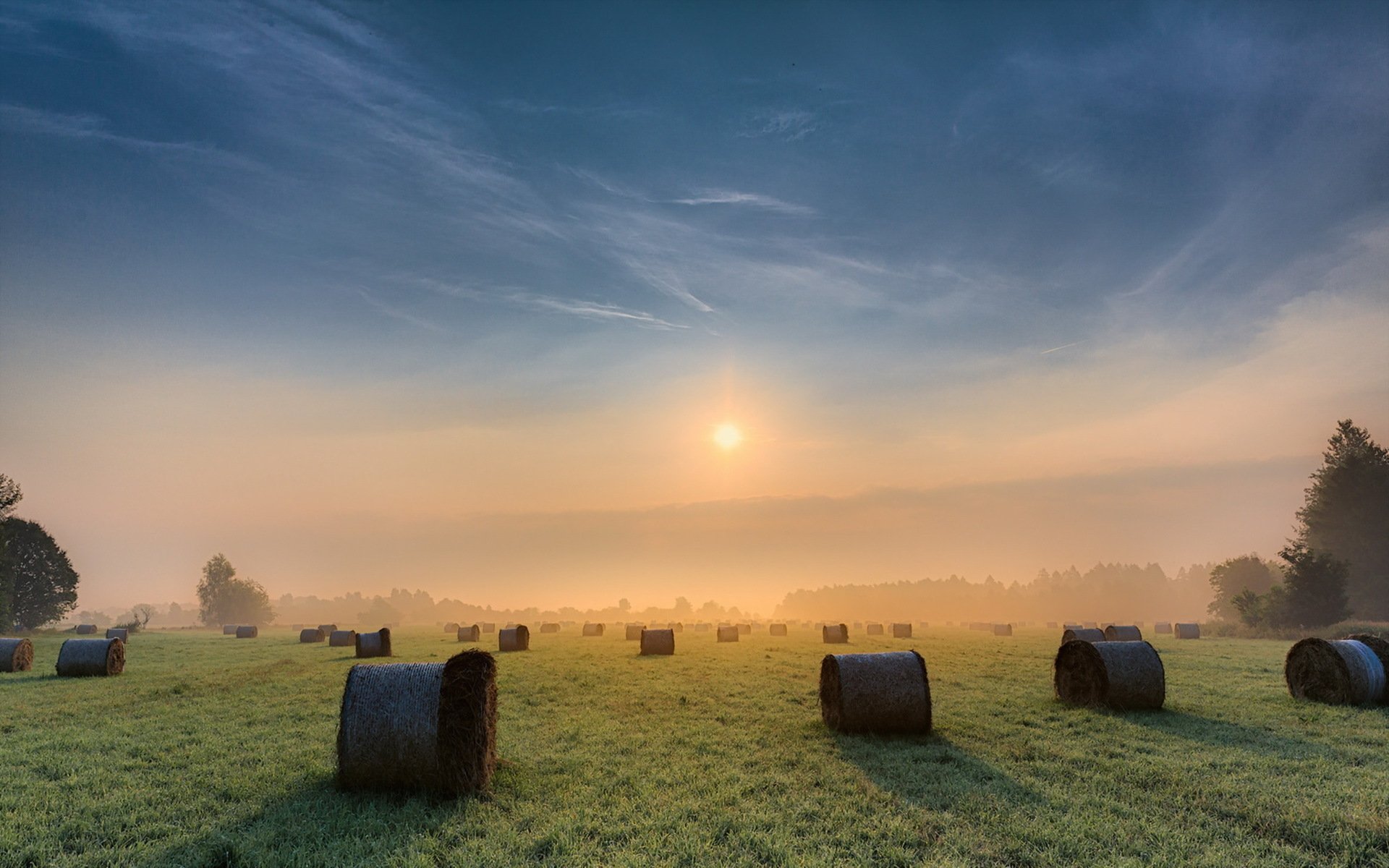 nature haystack Image