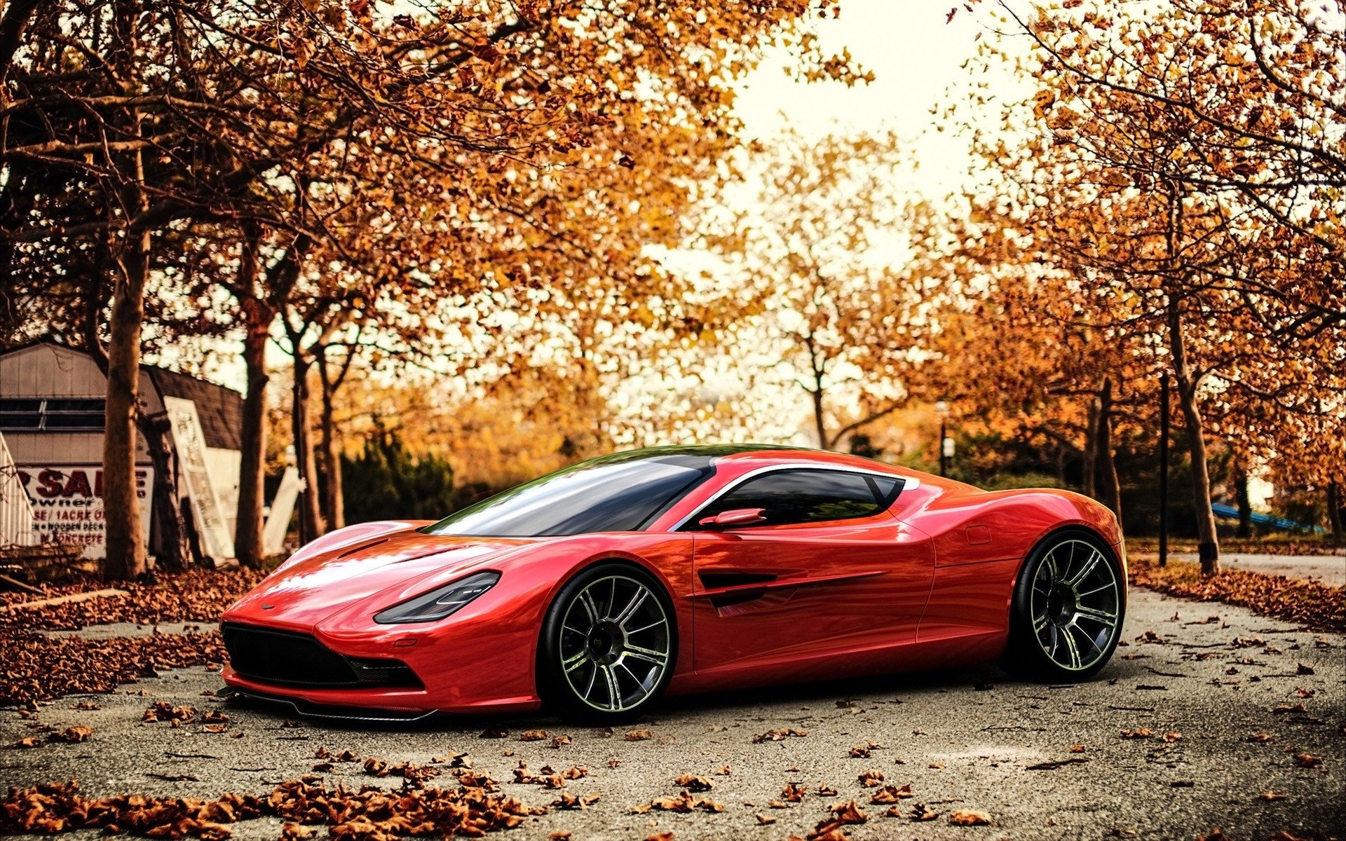 vehicle Aston Martin DBC Image