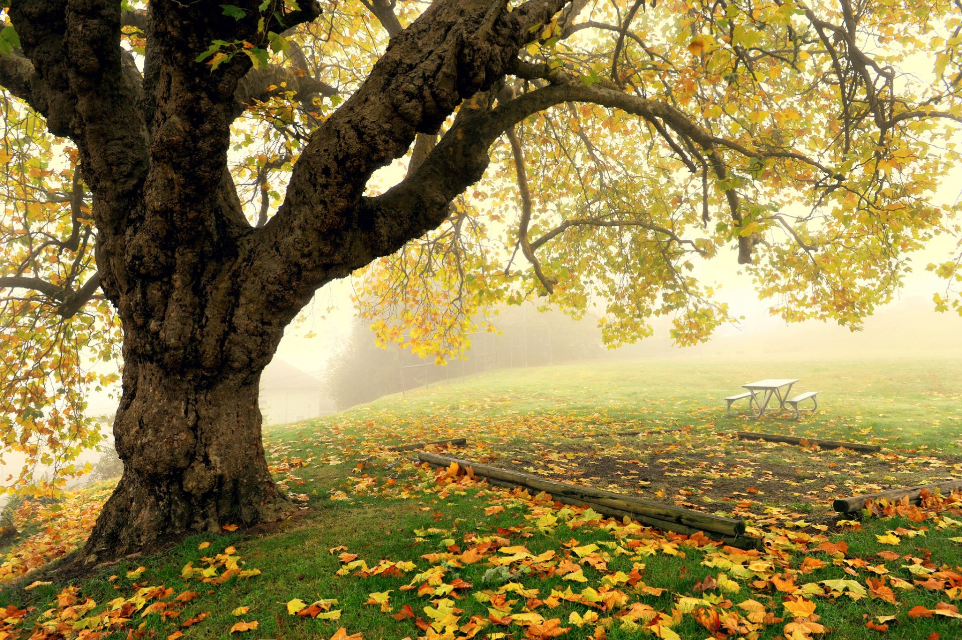 man made bench Image