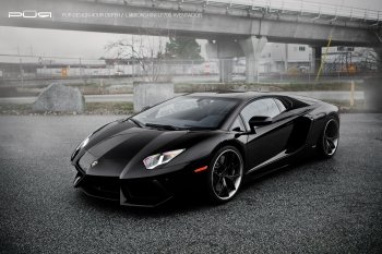 Preview Image 283633