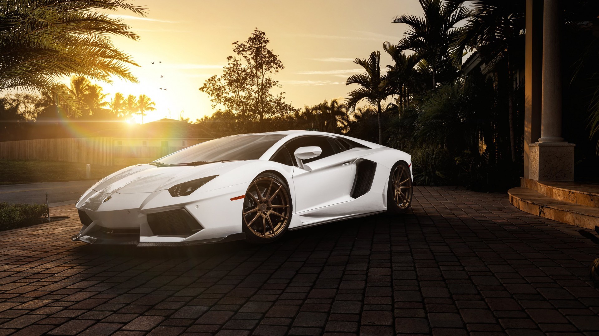 Lamborghini Aventador LP 700-4 Picture