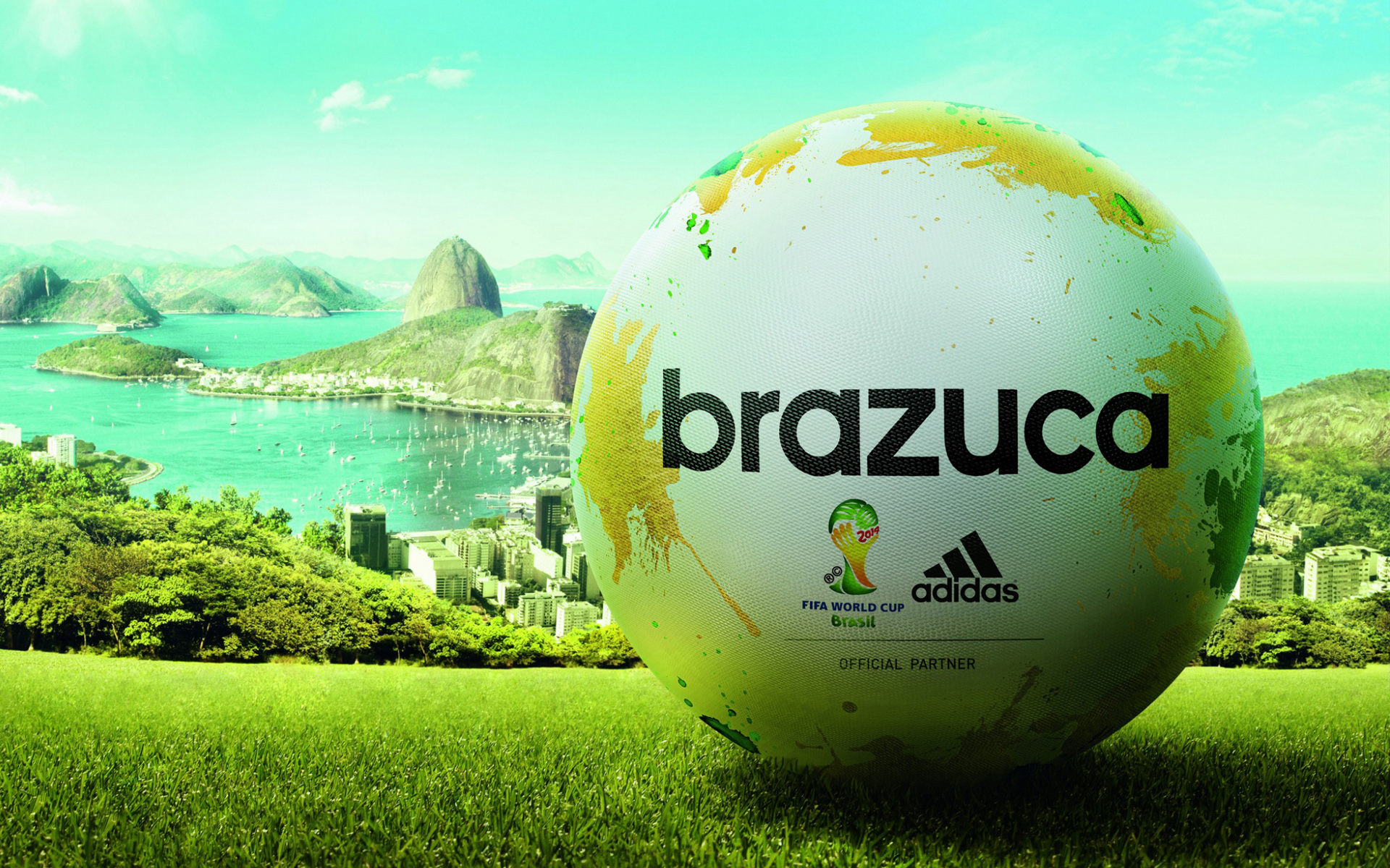 Fifa World Cup Brazil 2014 Picture