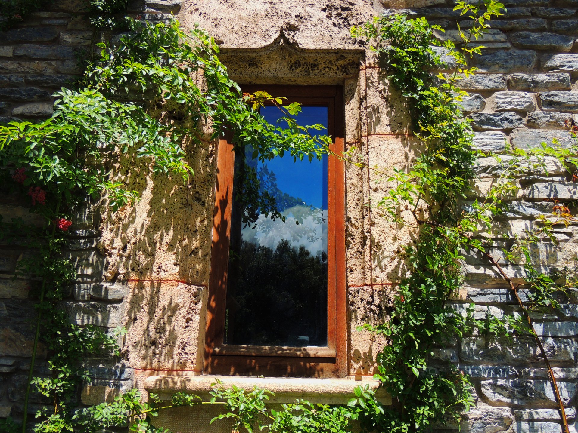 A man-made window set in a stone wall in Sierre, Switzerland, framed by green climbing plants and reflecting a bright blue sky.