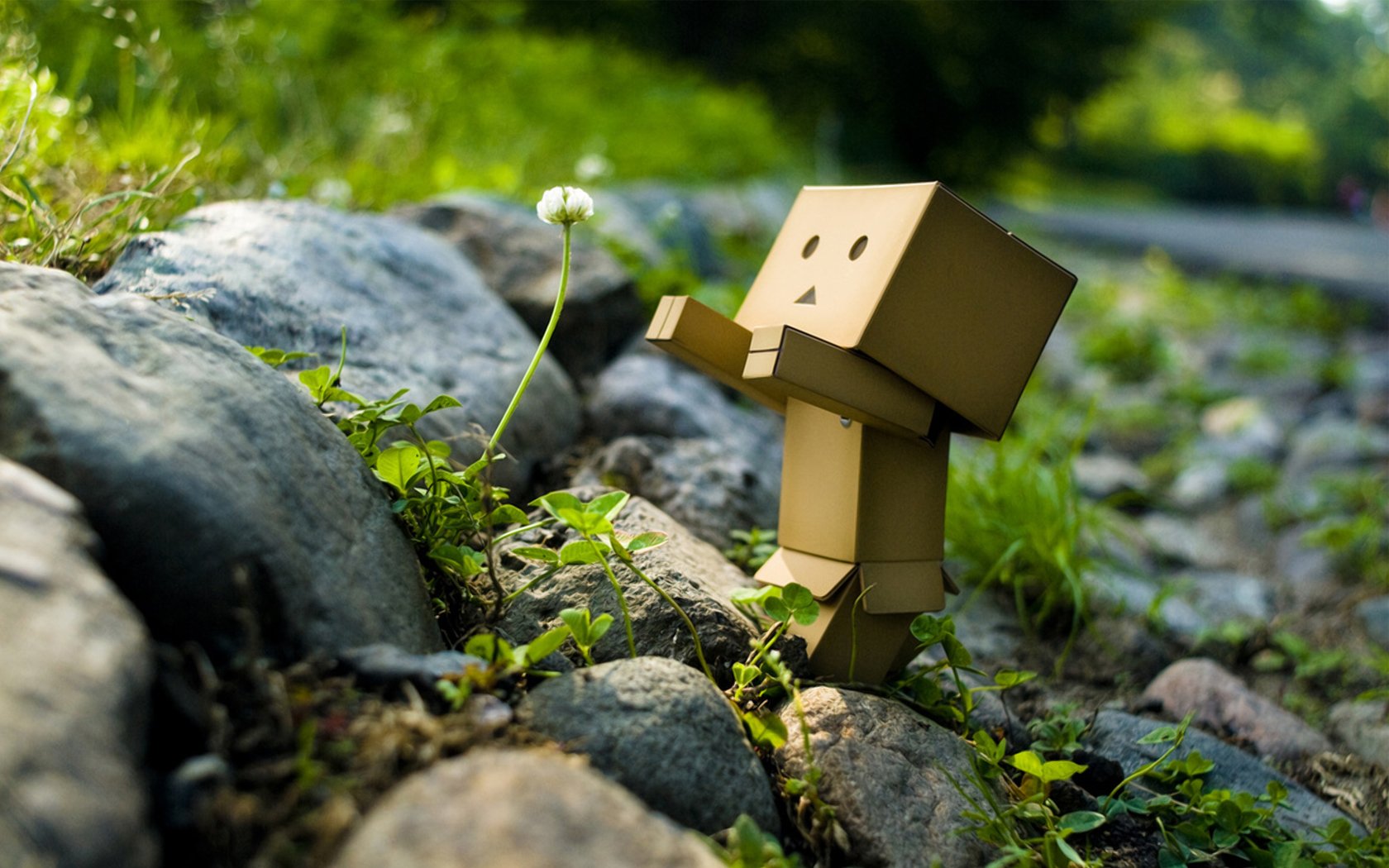 Download Misc Danbo Image