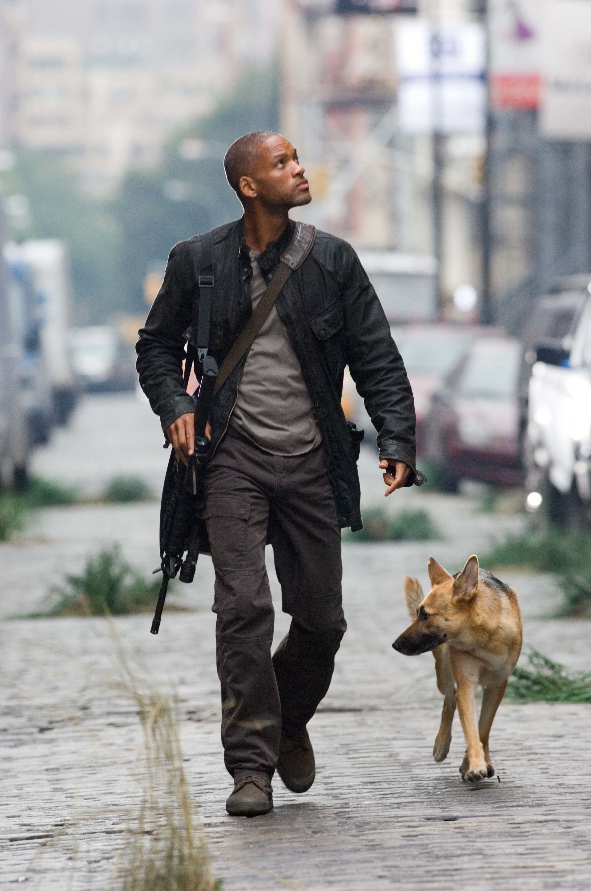 movie I Am Legend Image