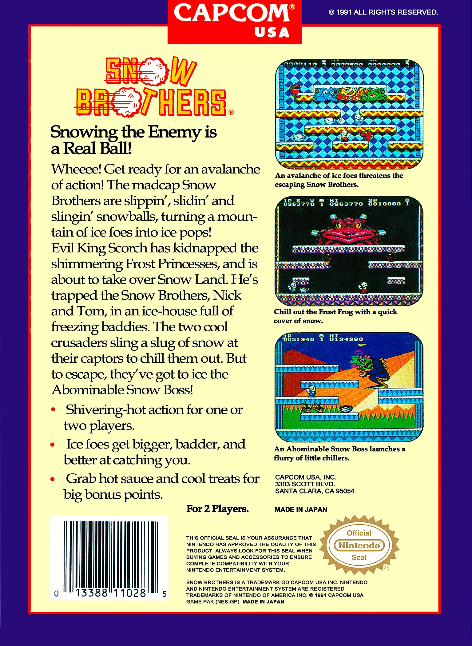 video game Snow Brothers Image