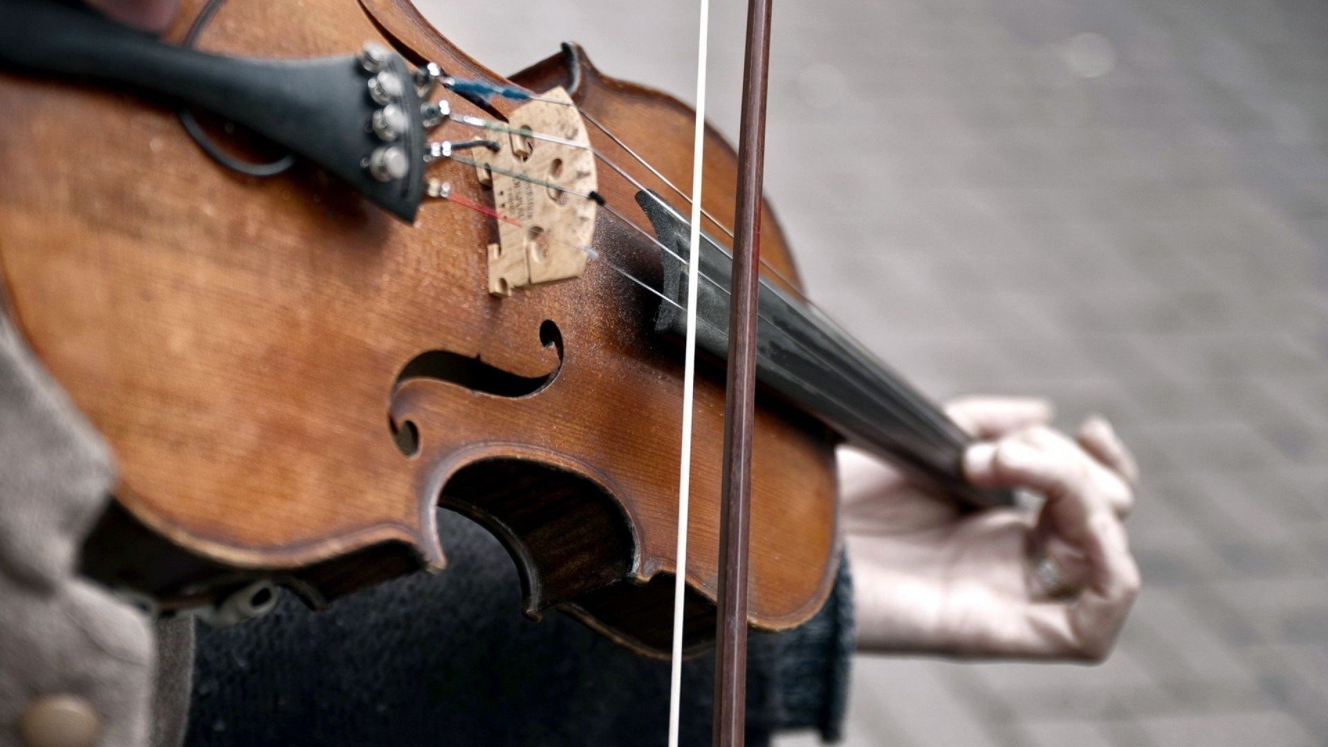 music violin Image
