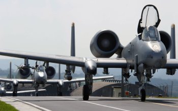Preview Image 284809