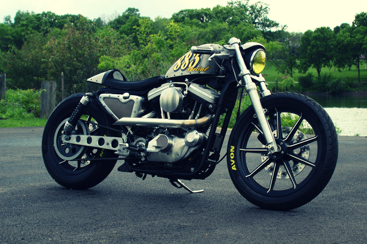 Harley Davidson iron 883 Picture