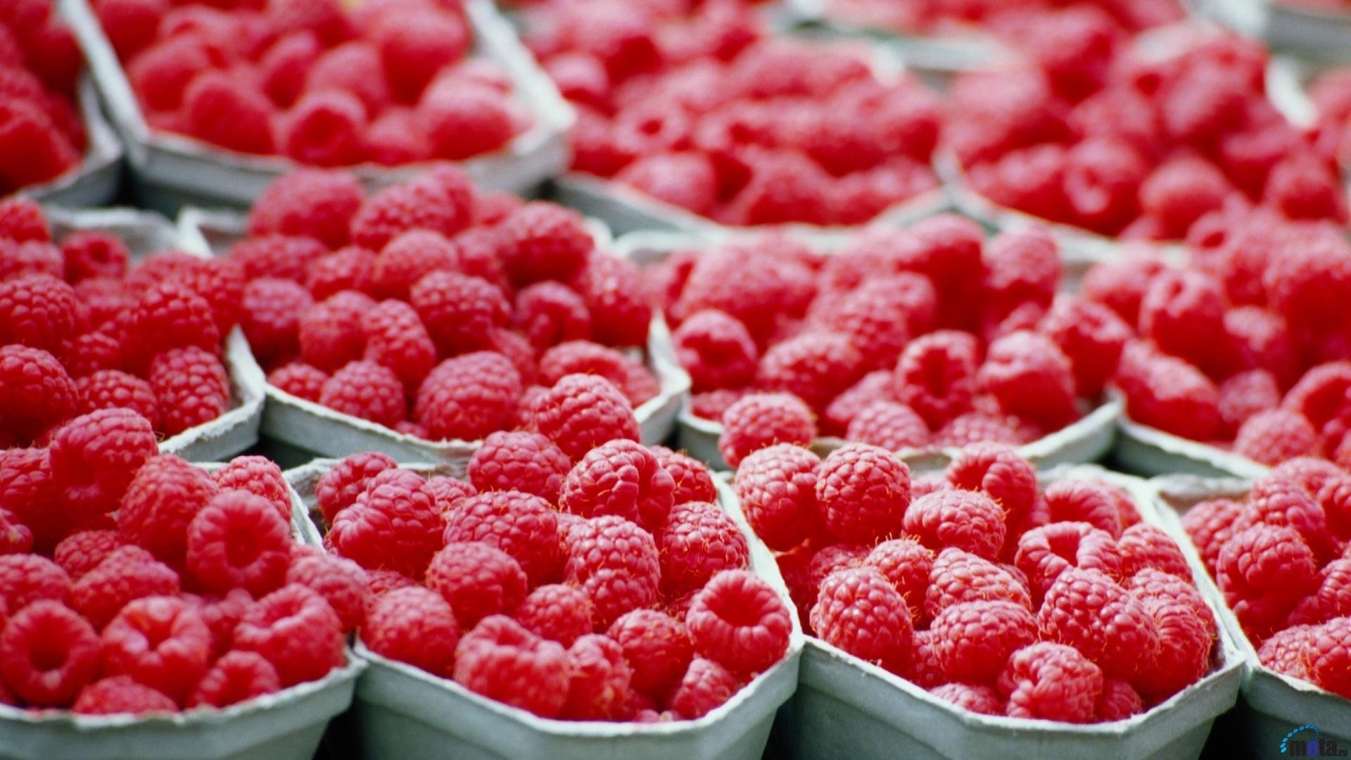 Download Food Raspberry Image