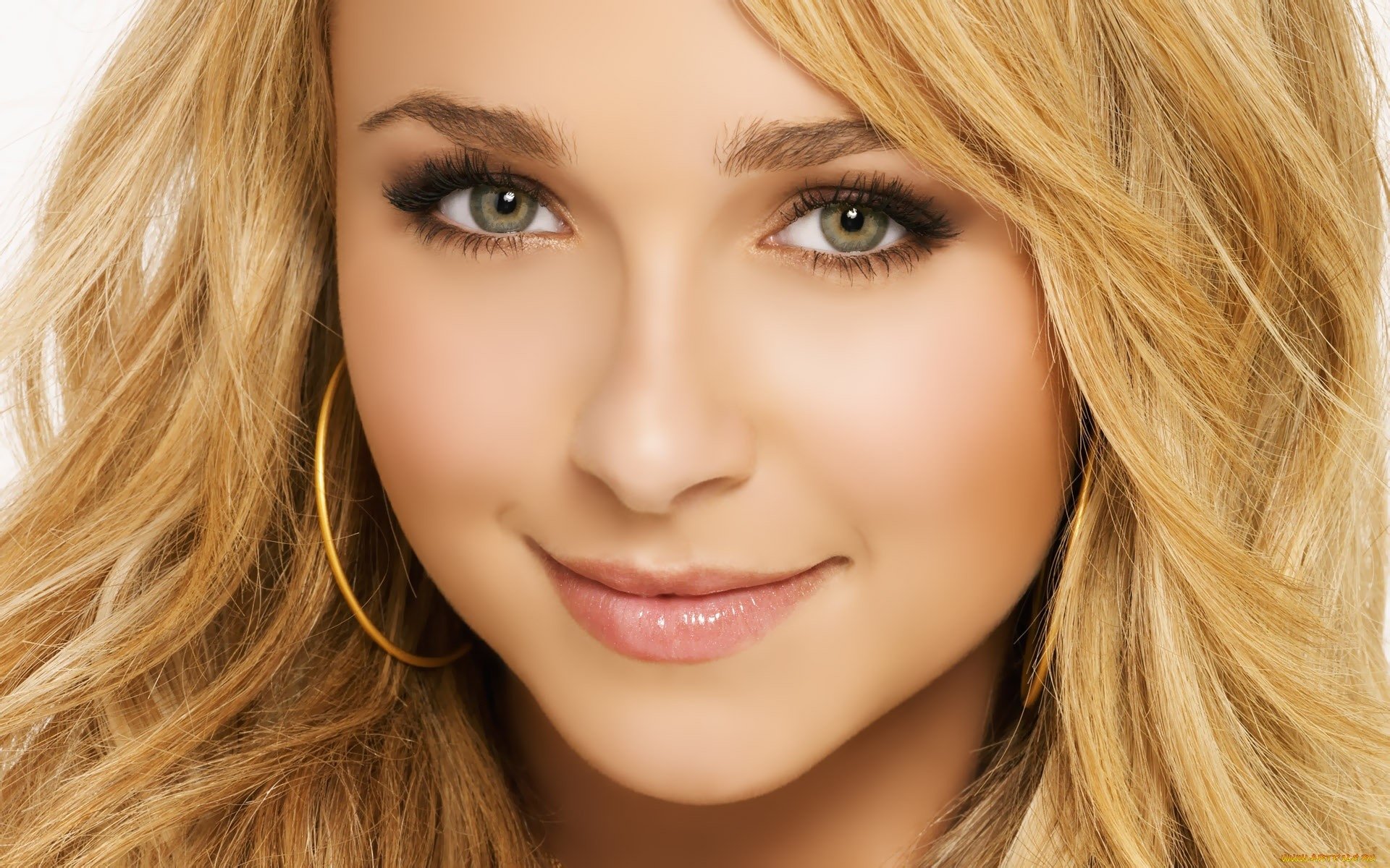 Download Celebrity Hayden Panettiere Image