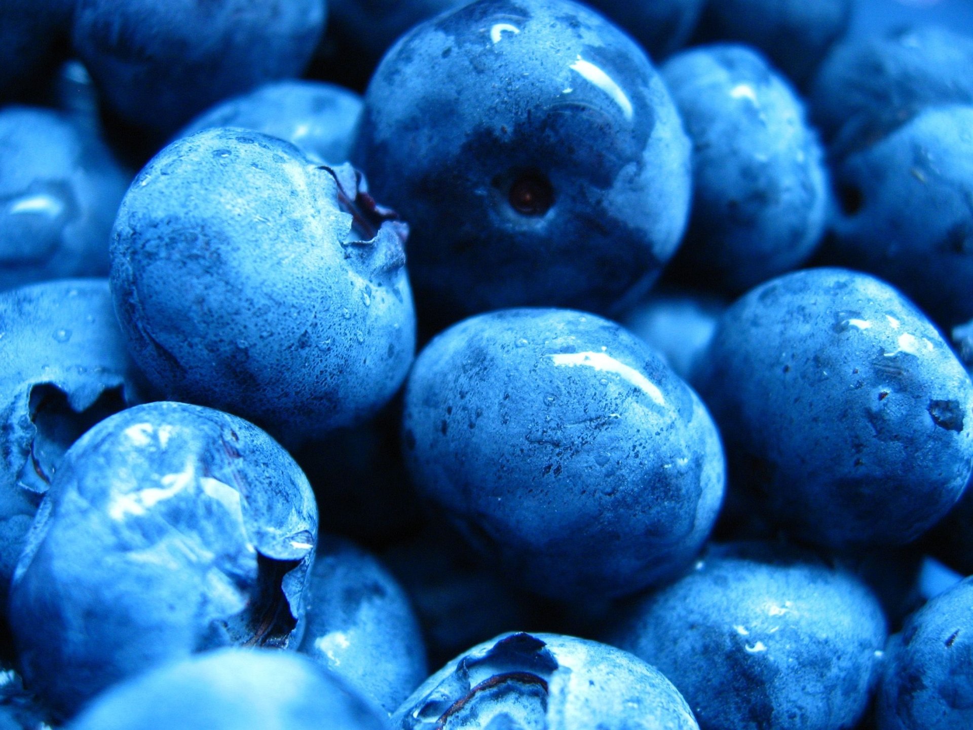 Download Food Blueberry Image